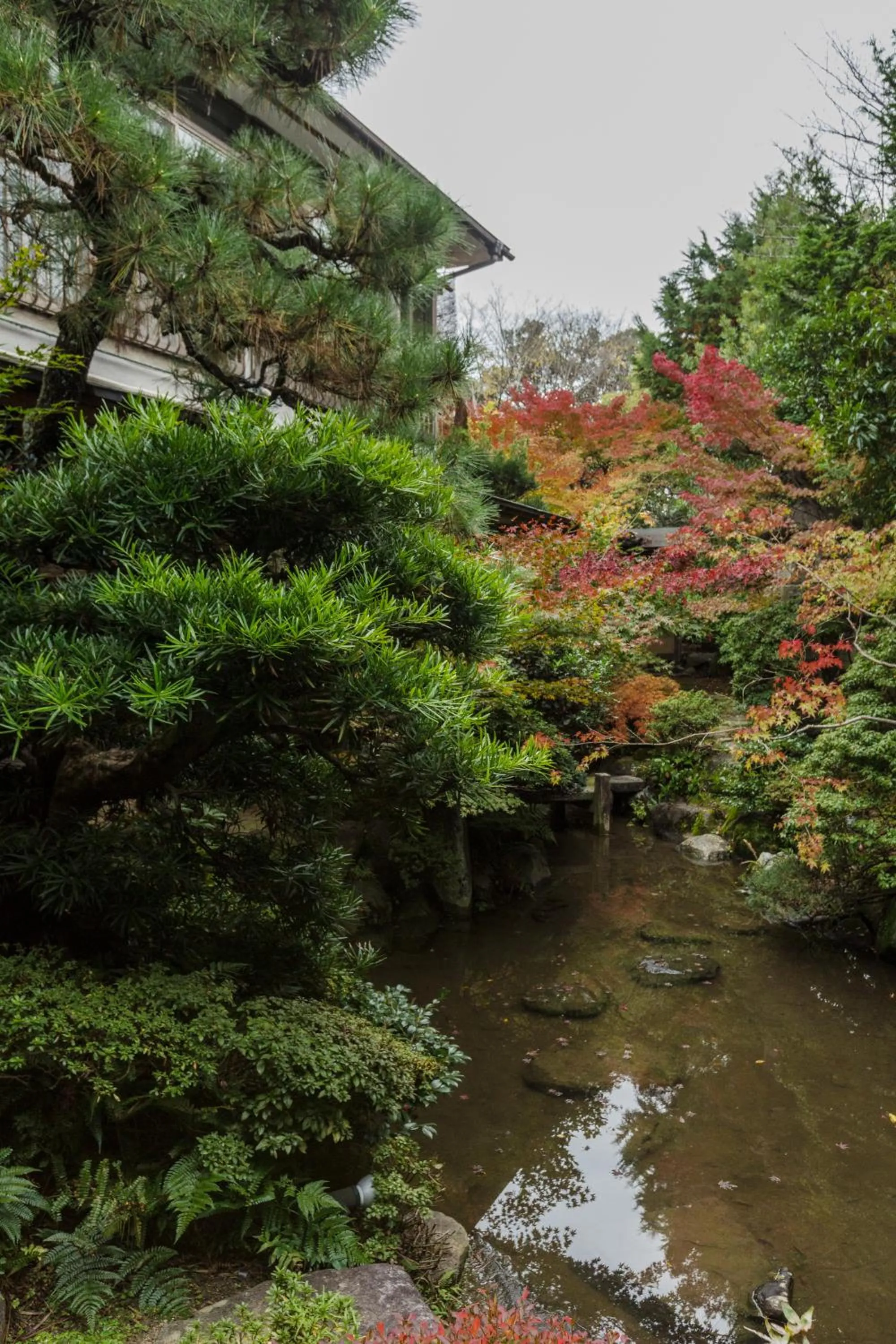 Garden in Kyoto Nanzenji Ryokan Yachiyo Established in 1915