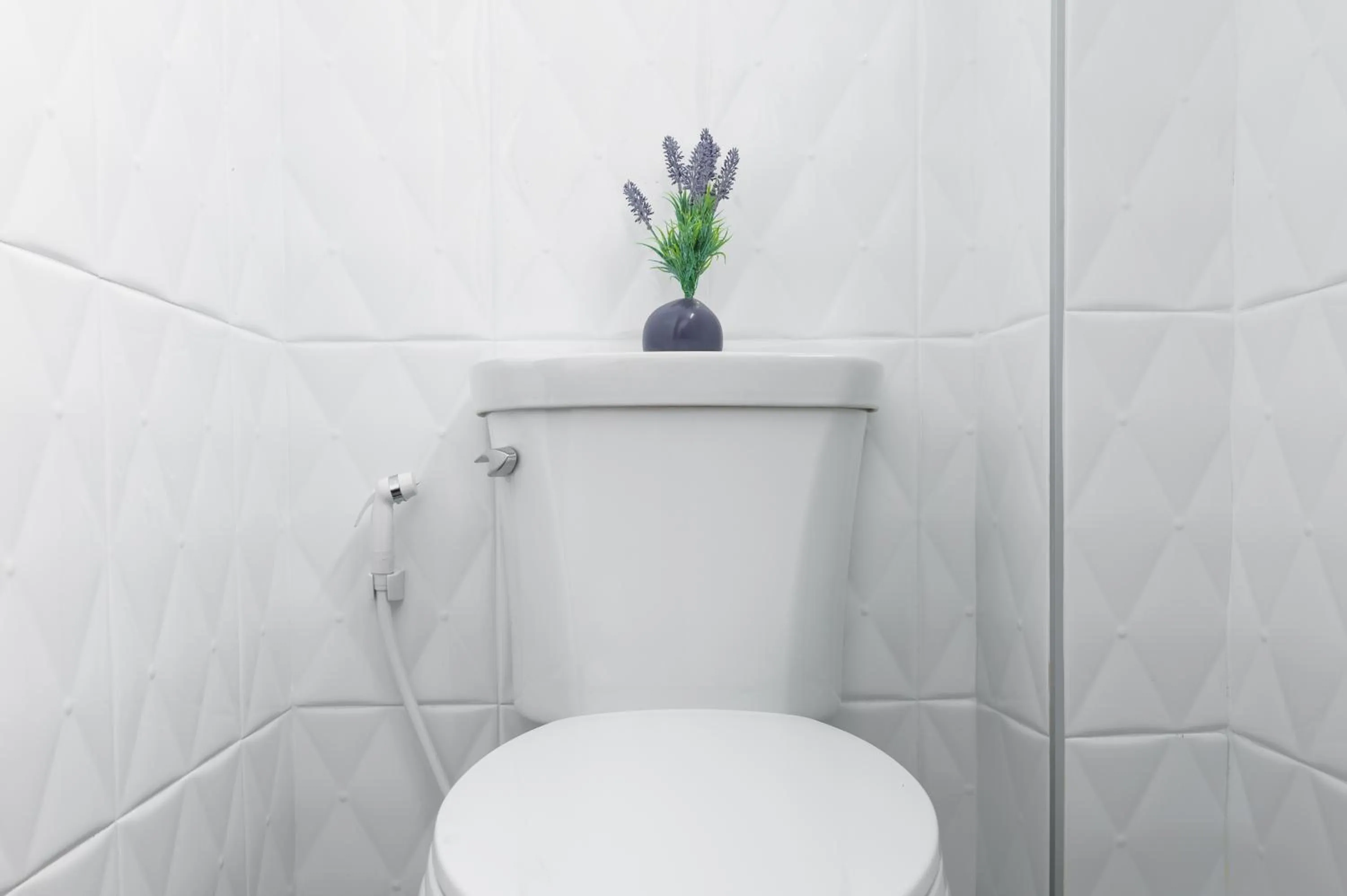 Toilet in Nord Studio