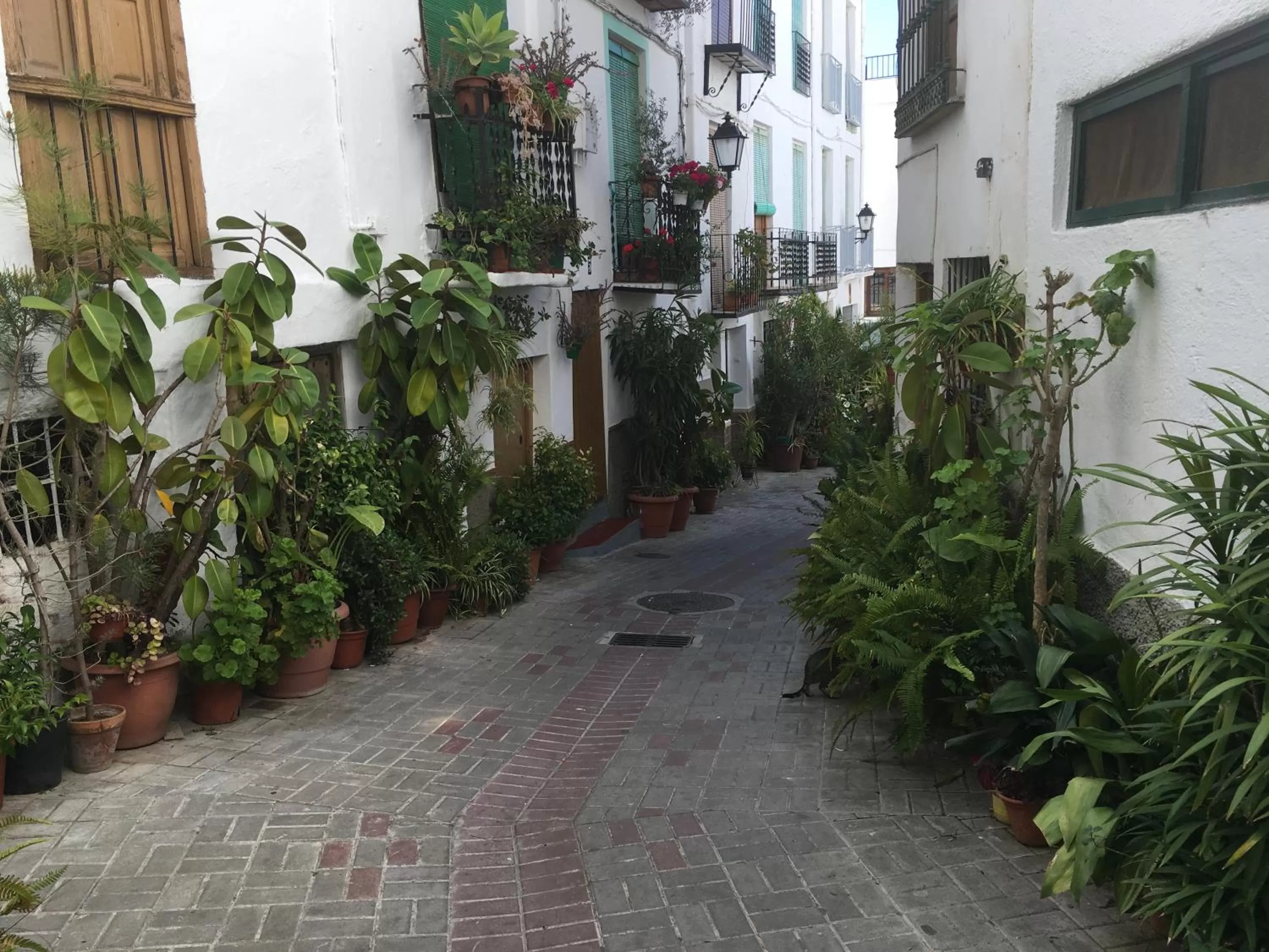 Neighbourhood in Hotel Balneario de Lanjarón