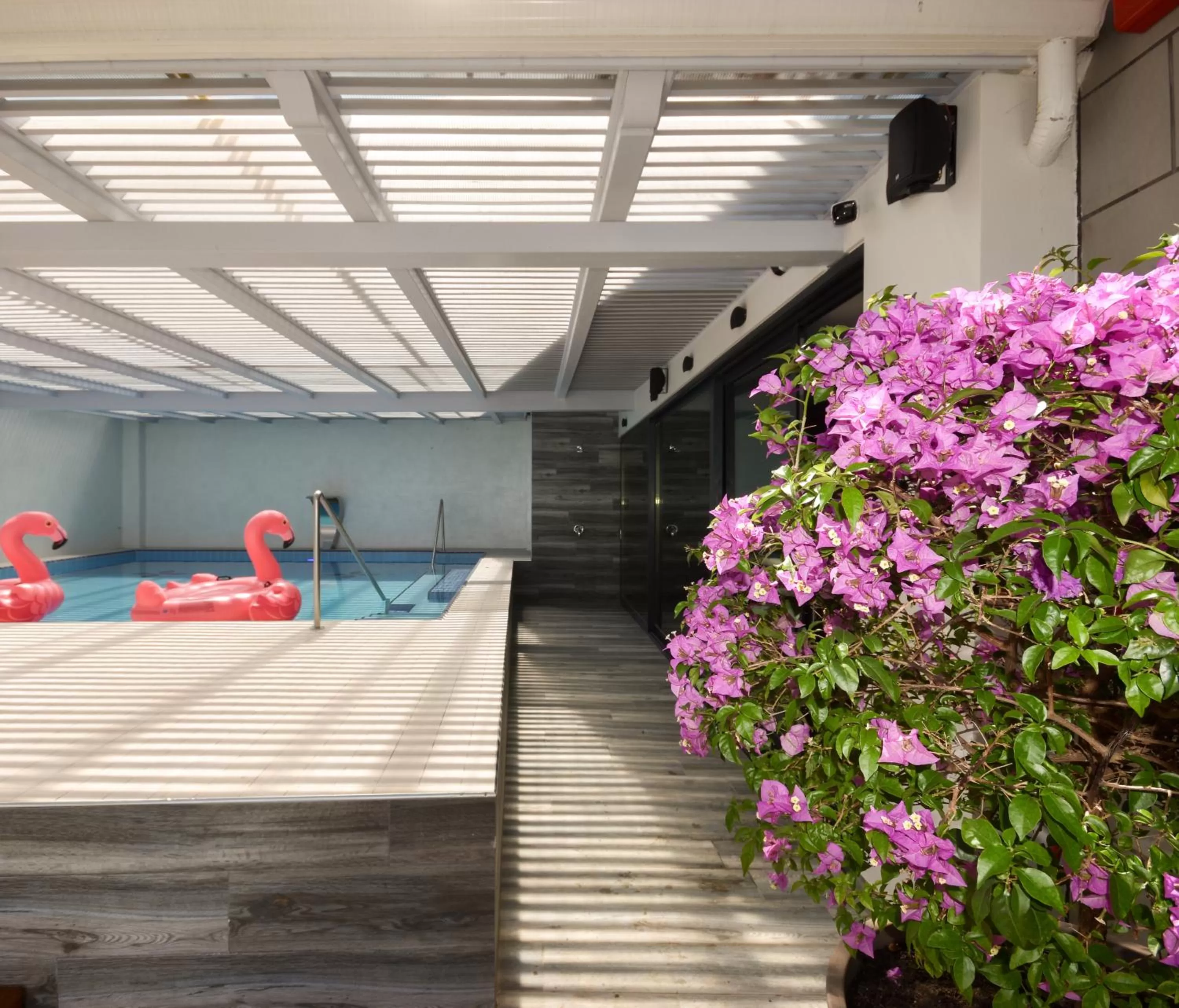 Balcony/Terrace in Flamingo Hotel