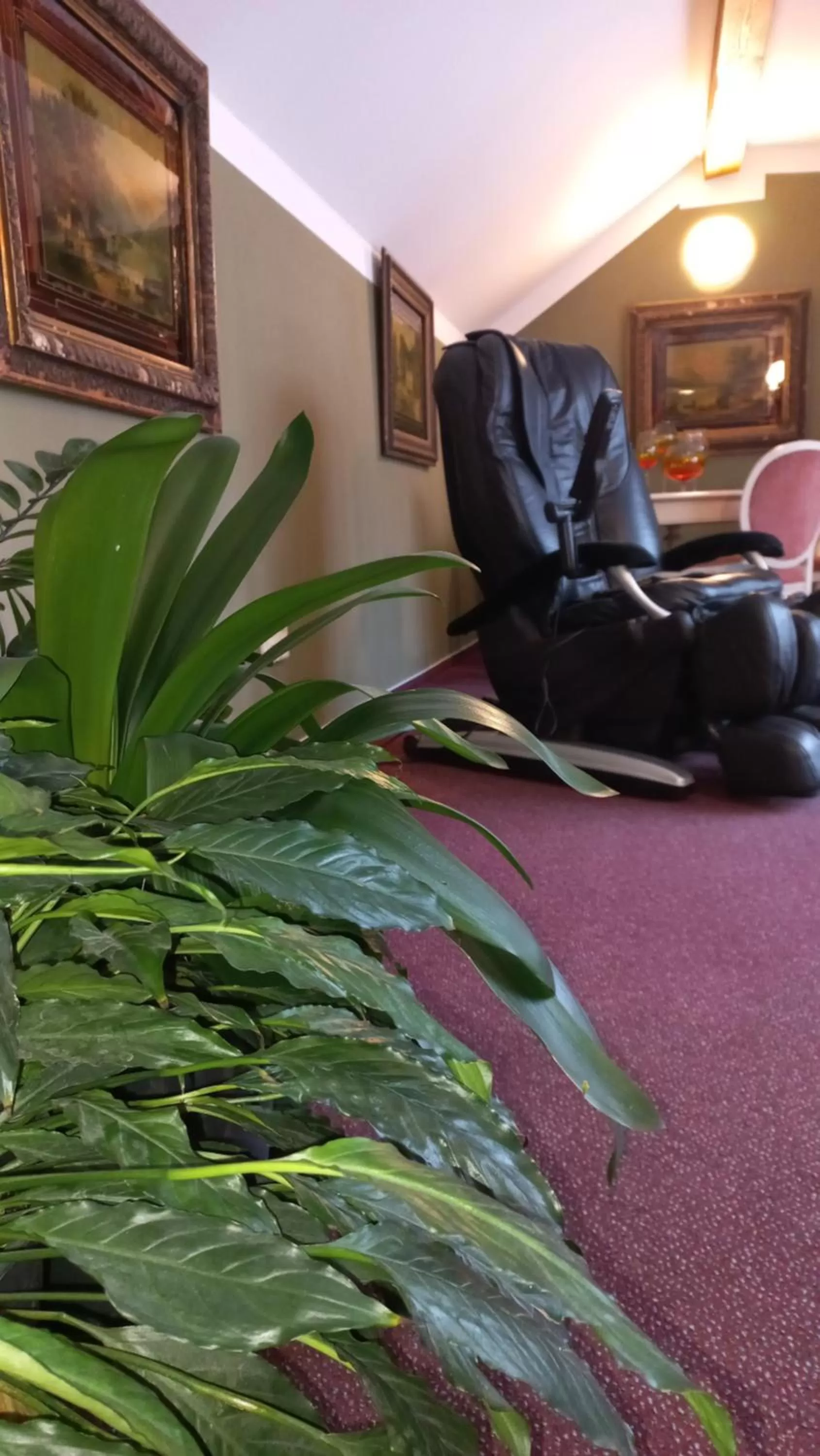 Property building in Hotel Bílá Paní