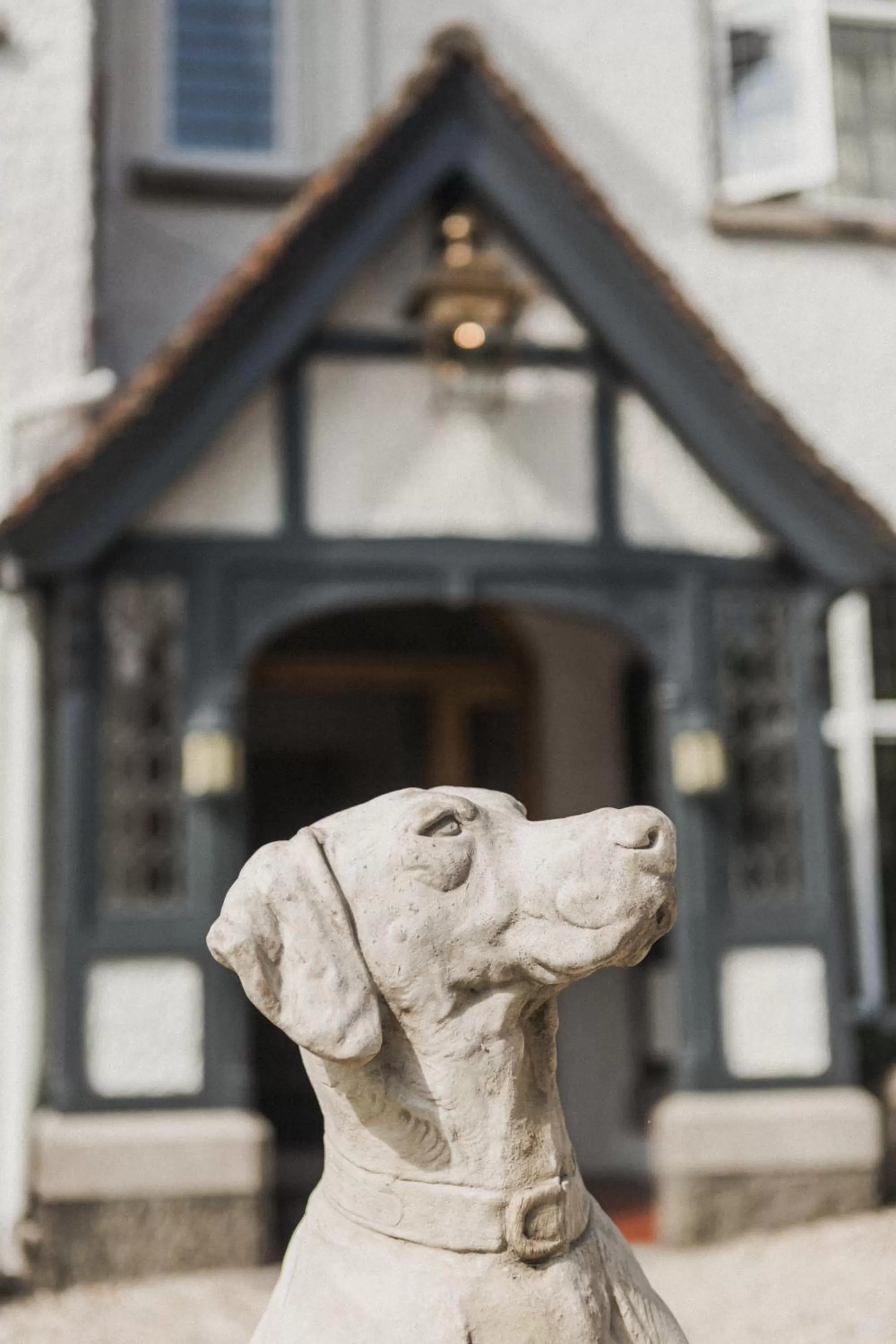 Day, Pets in Merchants Manor Spa