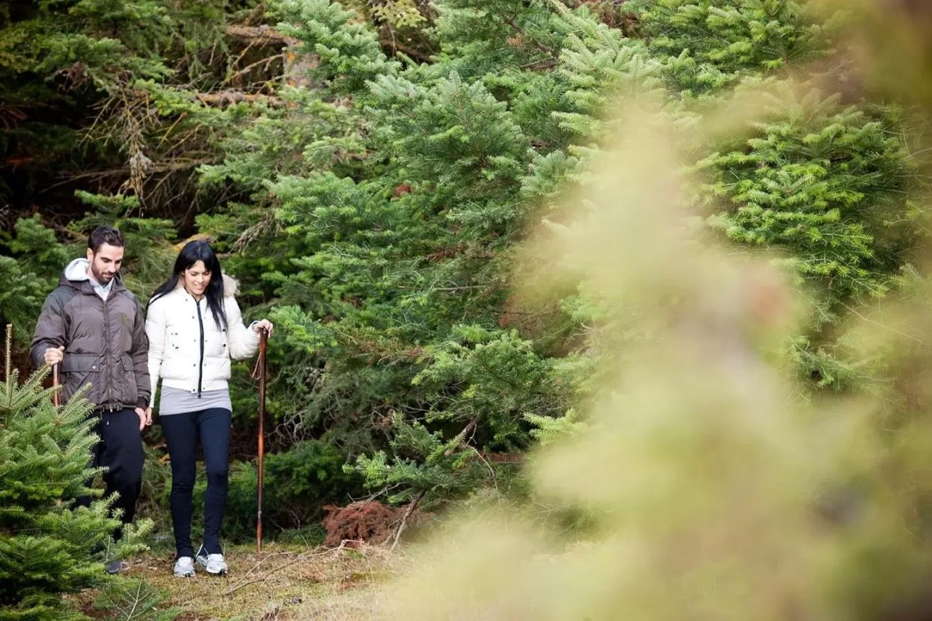 People in Kalavrita Canyon Hotel & Spa