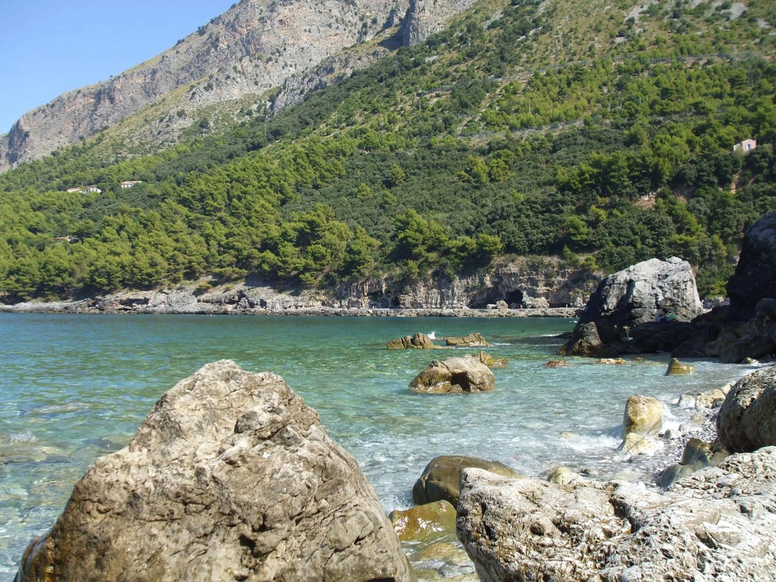 Natural landscape in Hotel Murmann