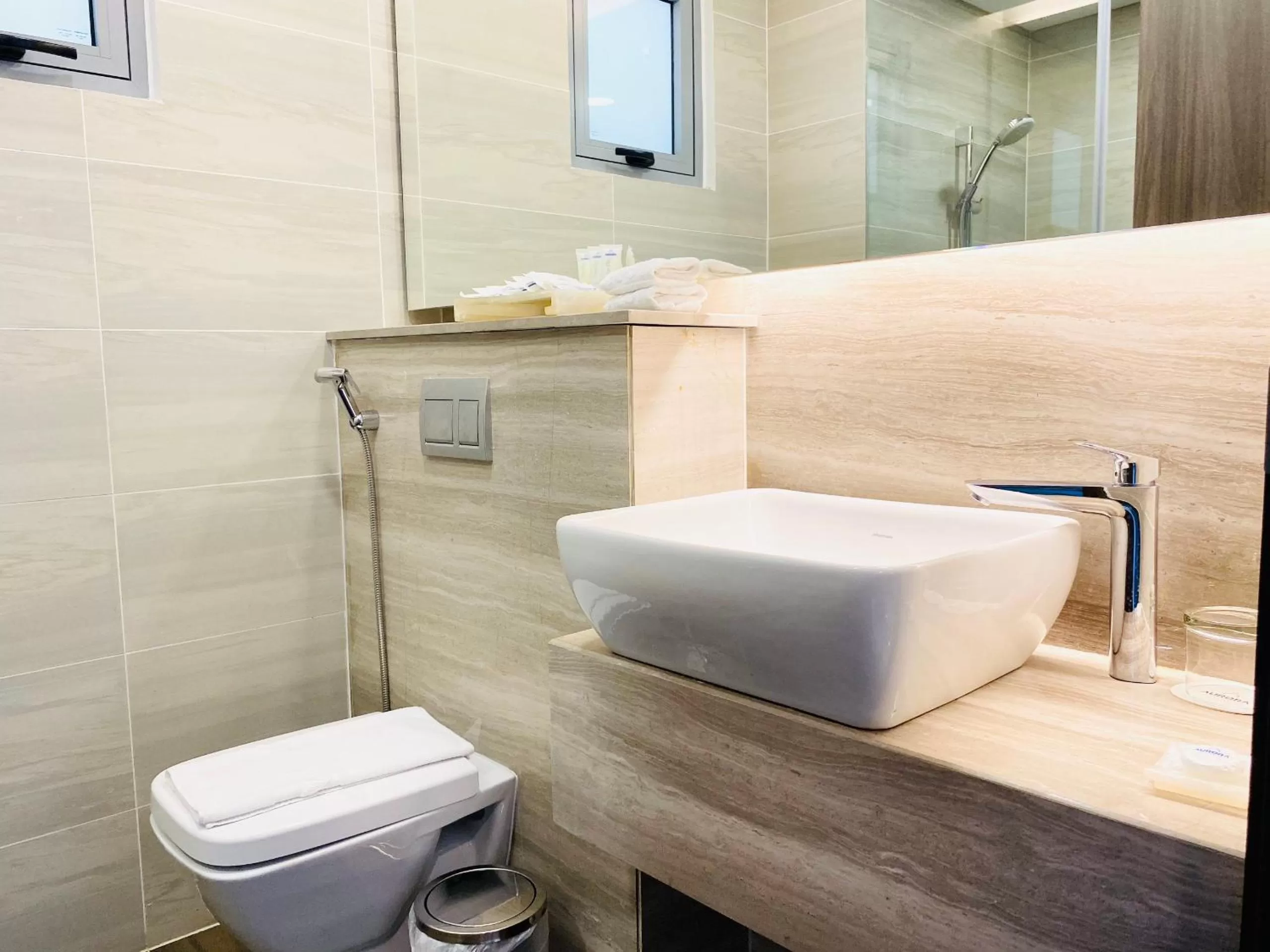 Toilet in Aurora Western Village