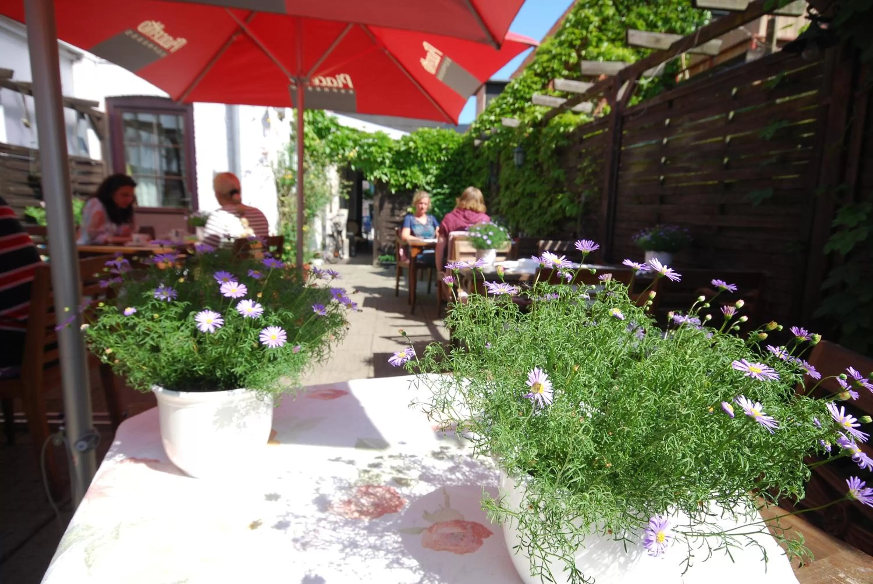 Garden, Restaurant/Places to Eat in Hotel Cafe Frida