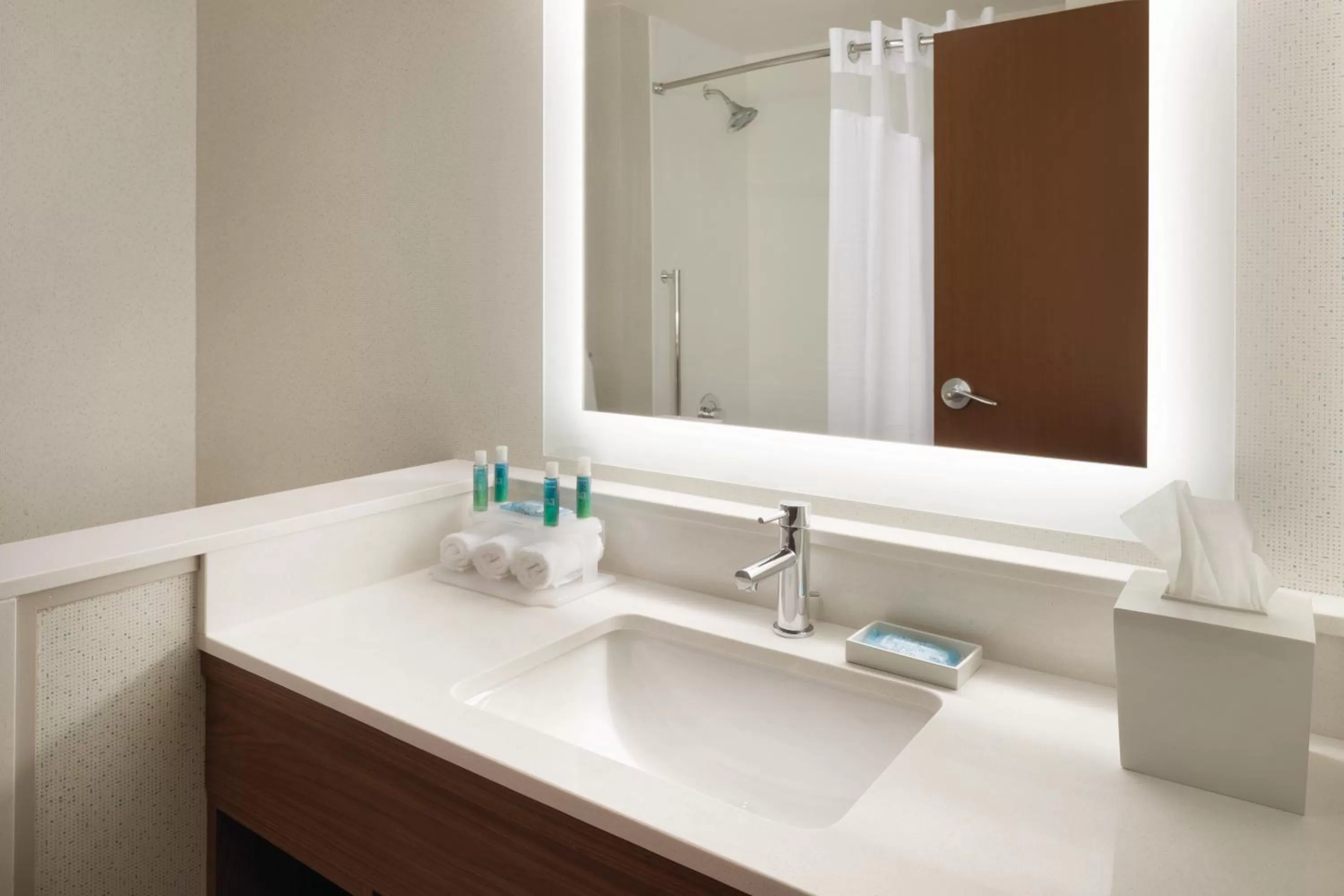 Bathroom in Holiday Inn Express Atlanta SW - Newnan by IHG