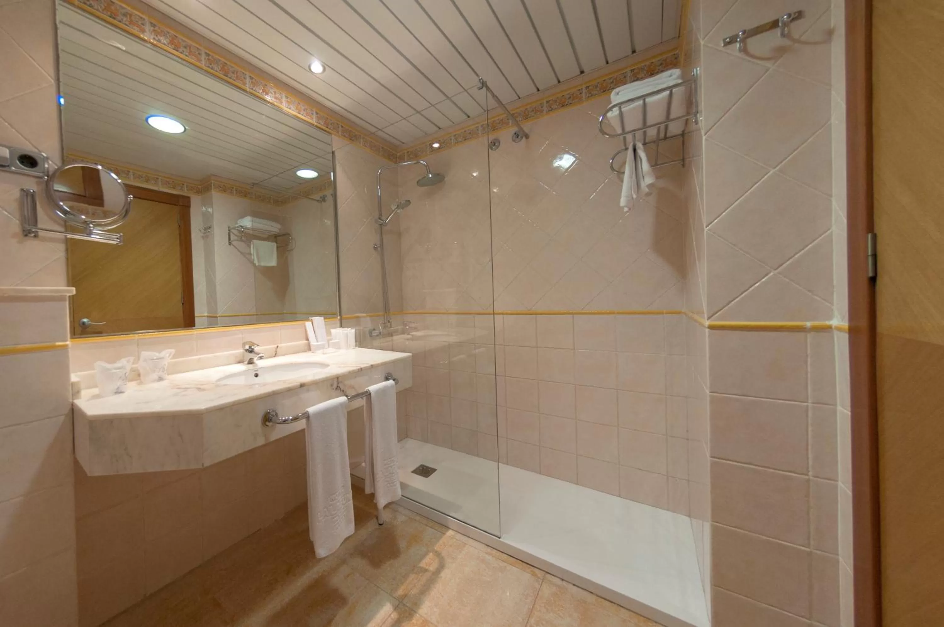 Bathroom in Hotel La Laguna Spa & Golf