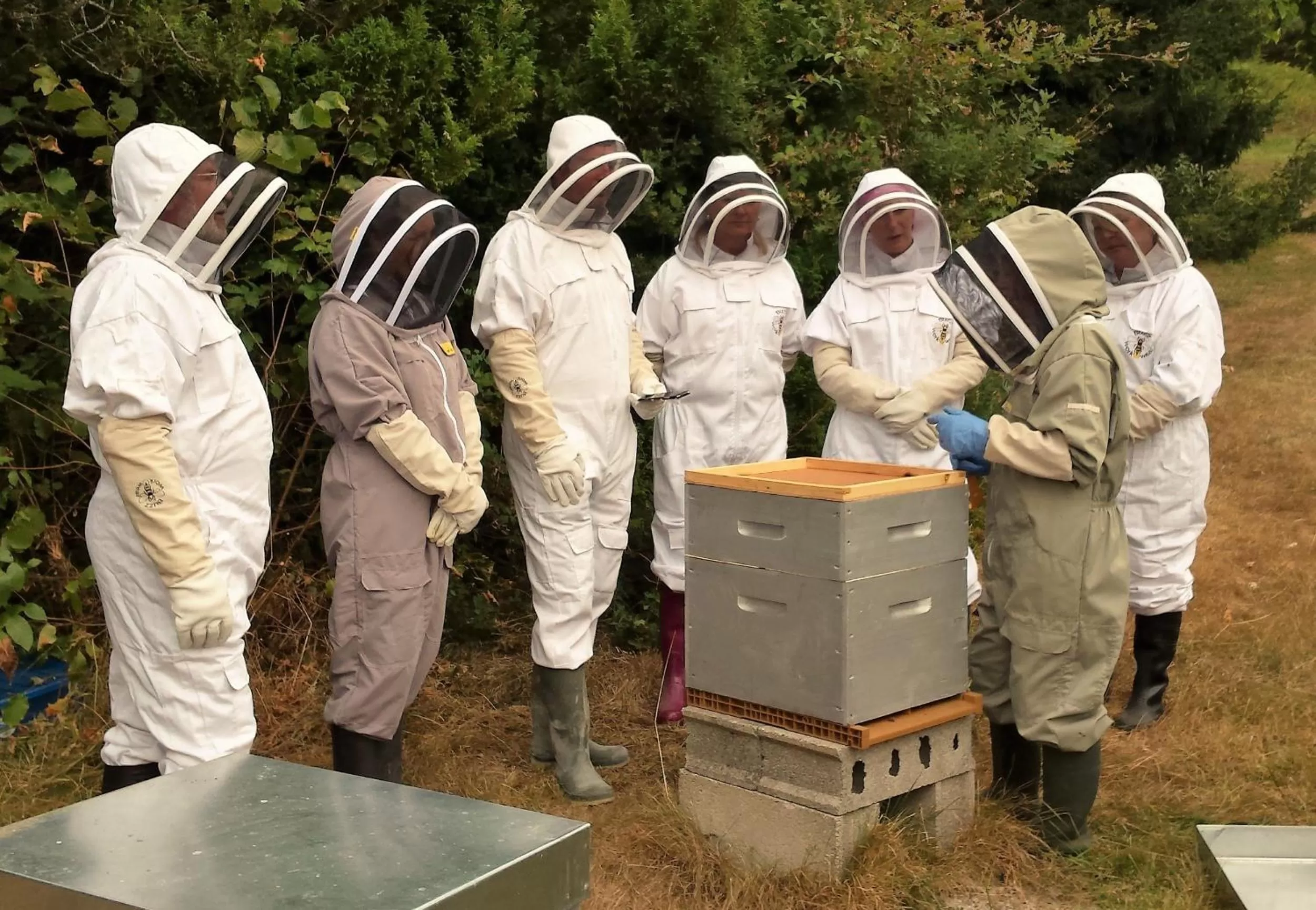 Activities in 13 Bees