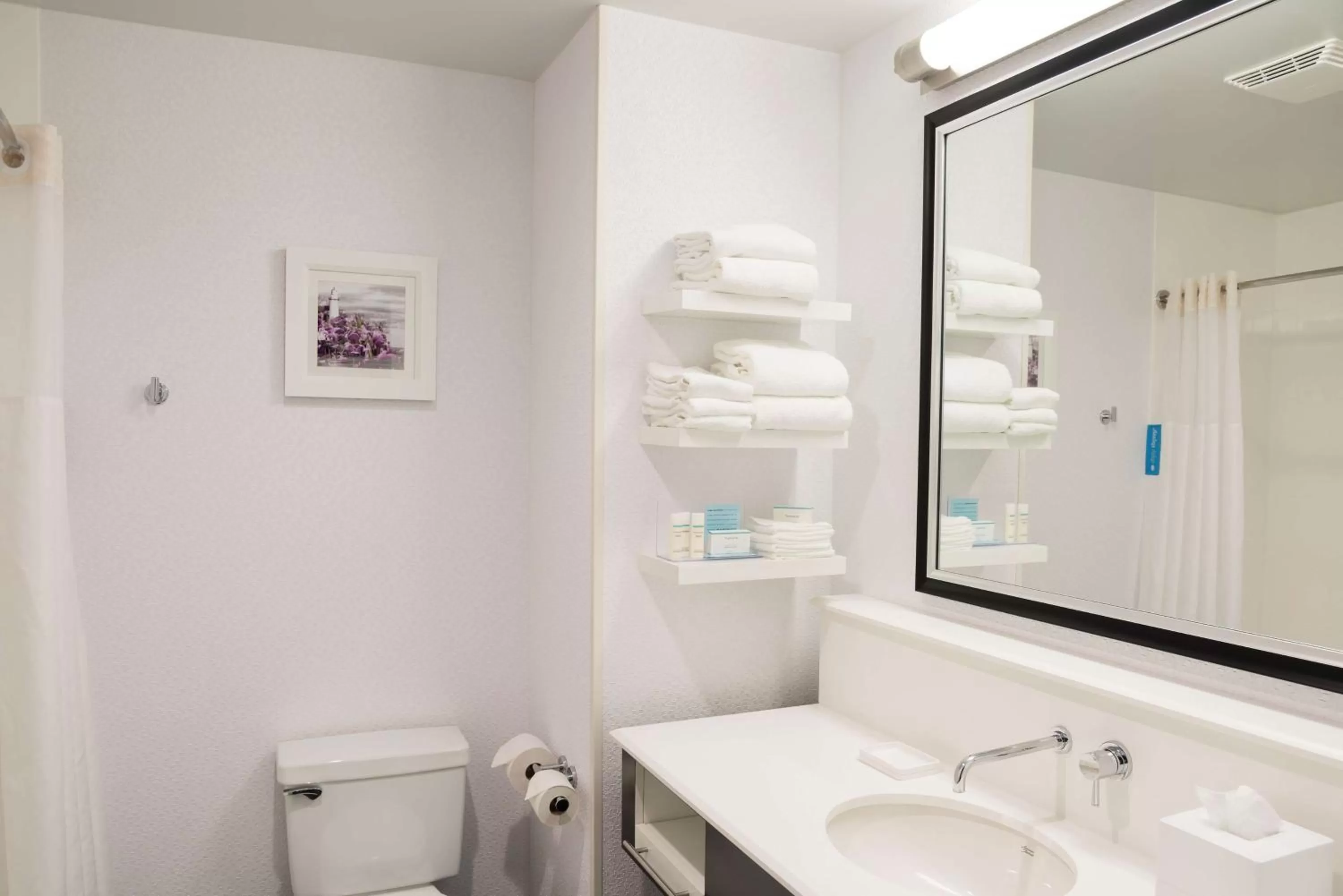 Bathroom in Hampton Inn Midland