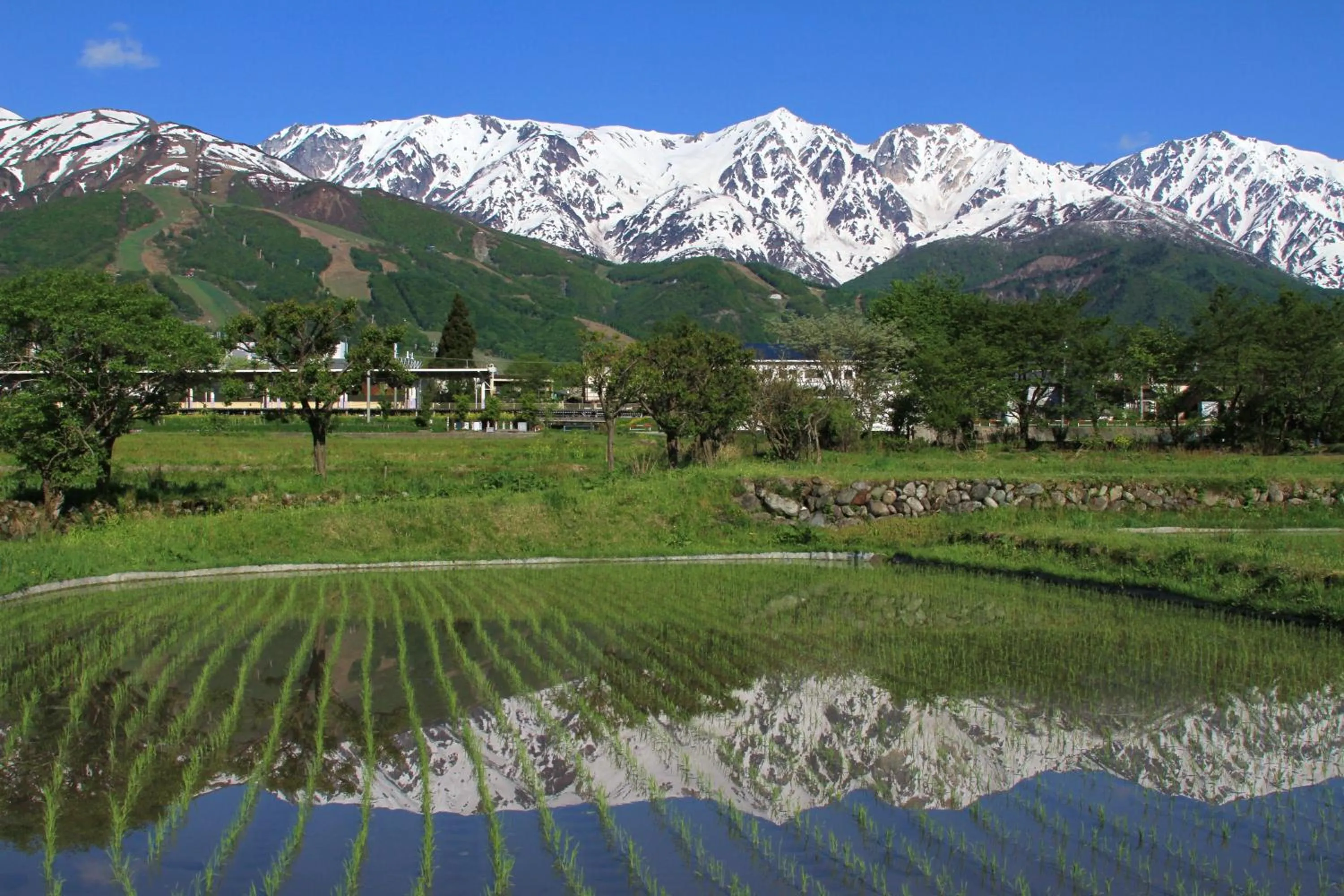 Natural landscape in Hotel Hakuba