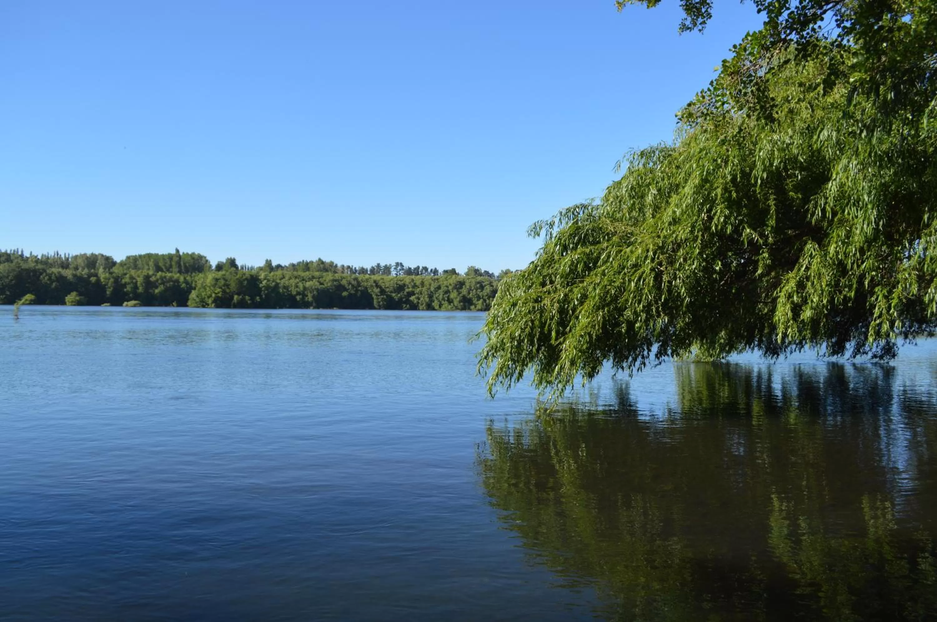 Coyunche Cabañas y Camping Laja & San Rosendo