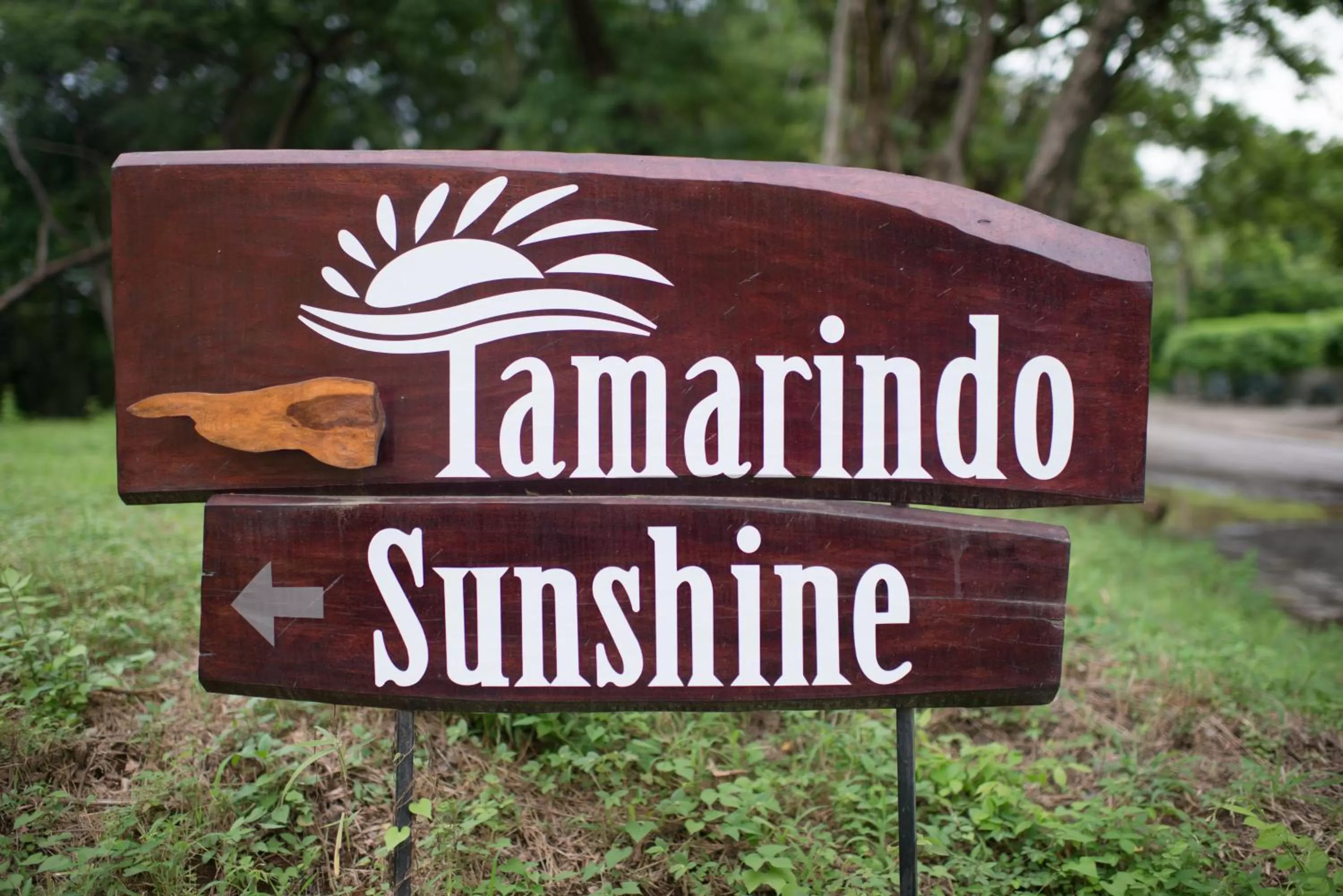 Property logo or sign in Tamarindo Sunshine