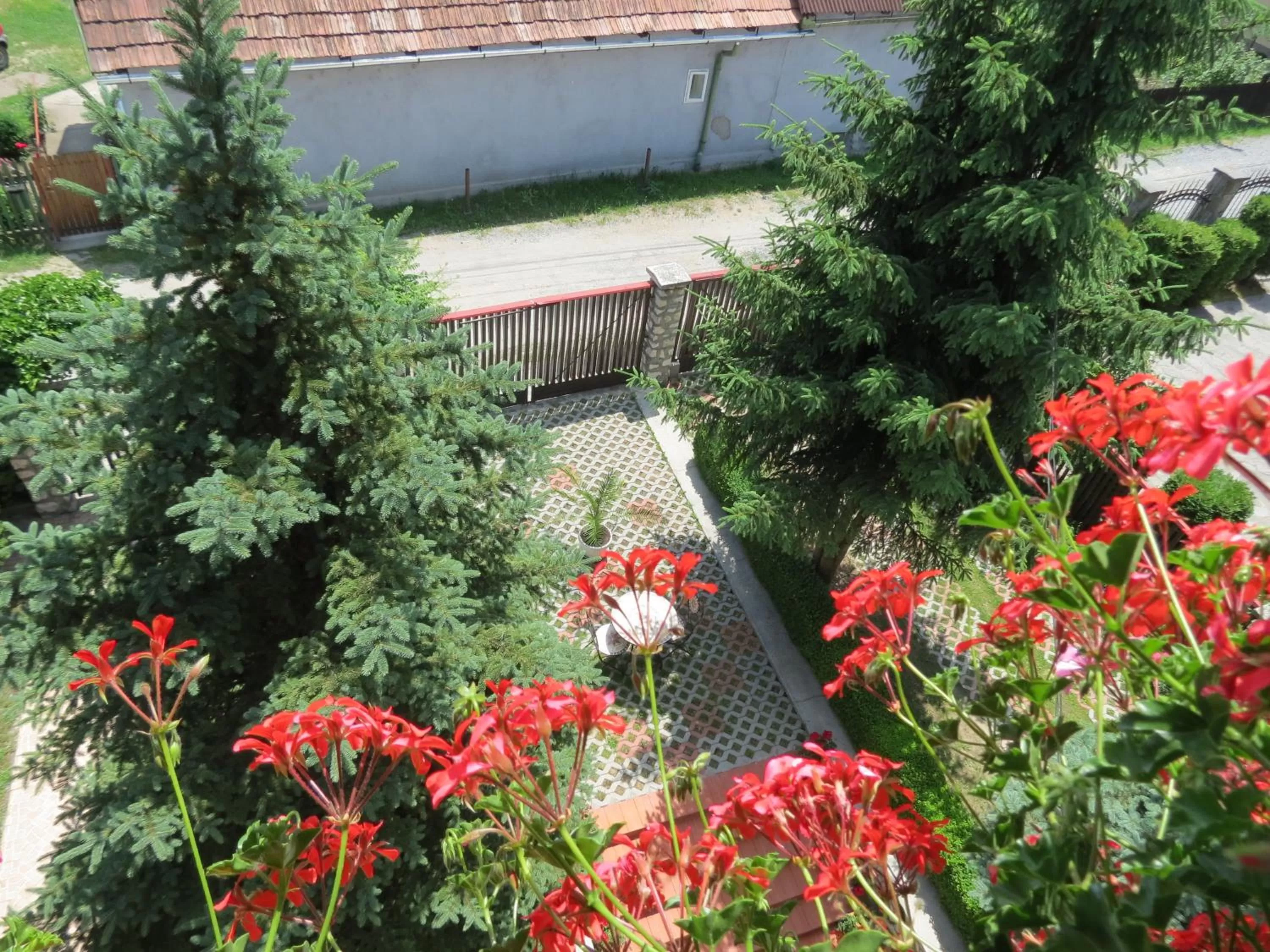Street view, Property Building in Csaki Vendeghaz