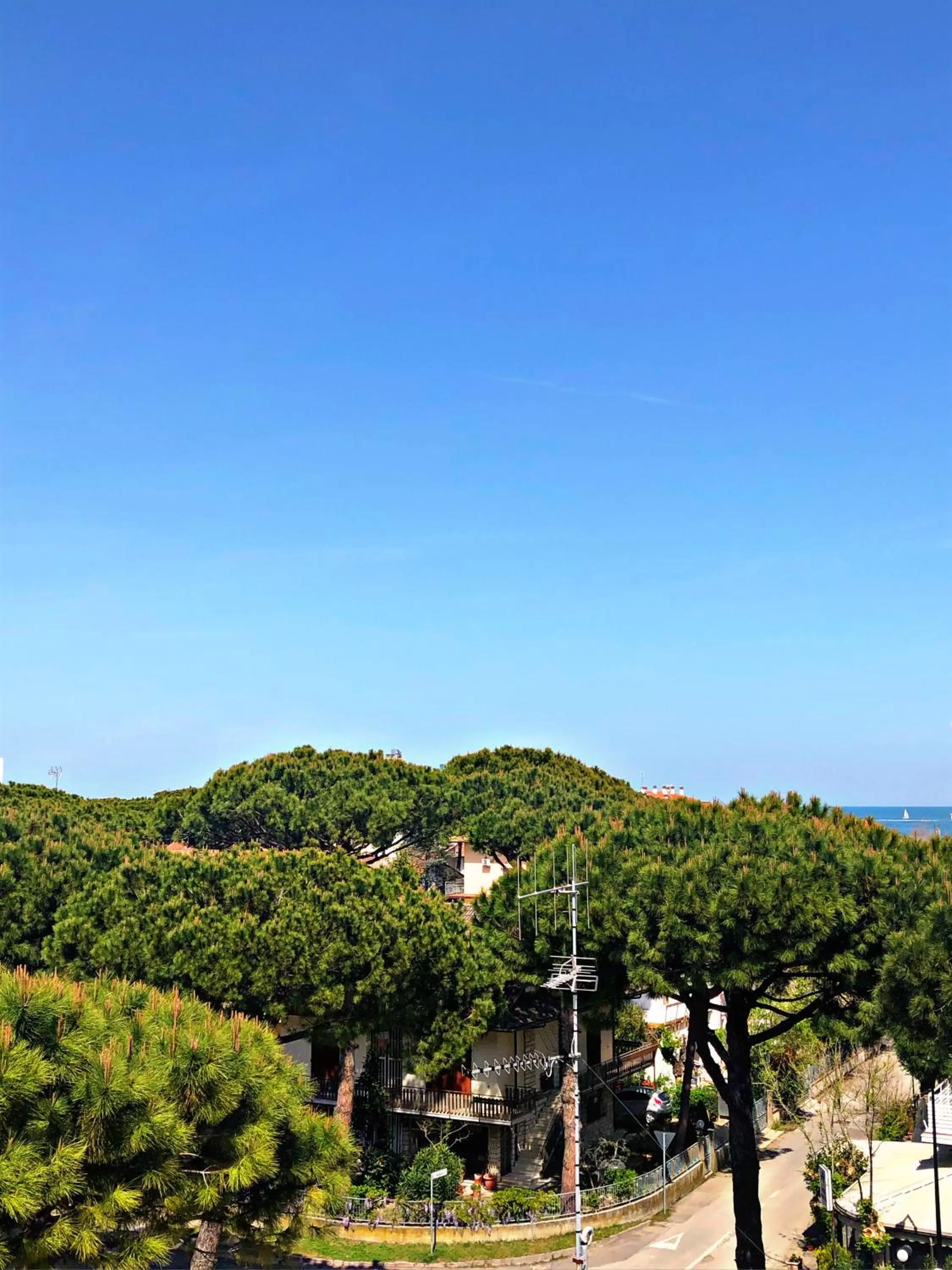 Natural landscape in Hotel del Falco