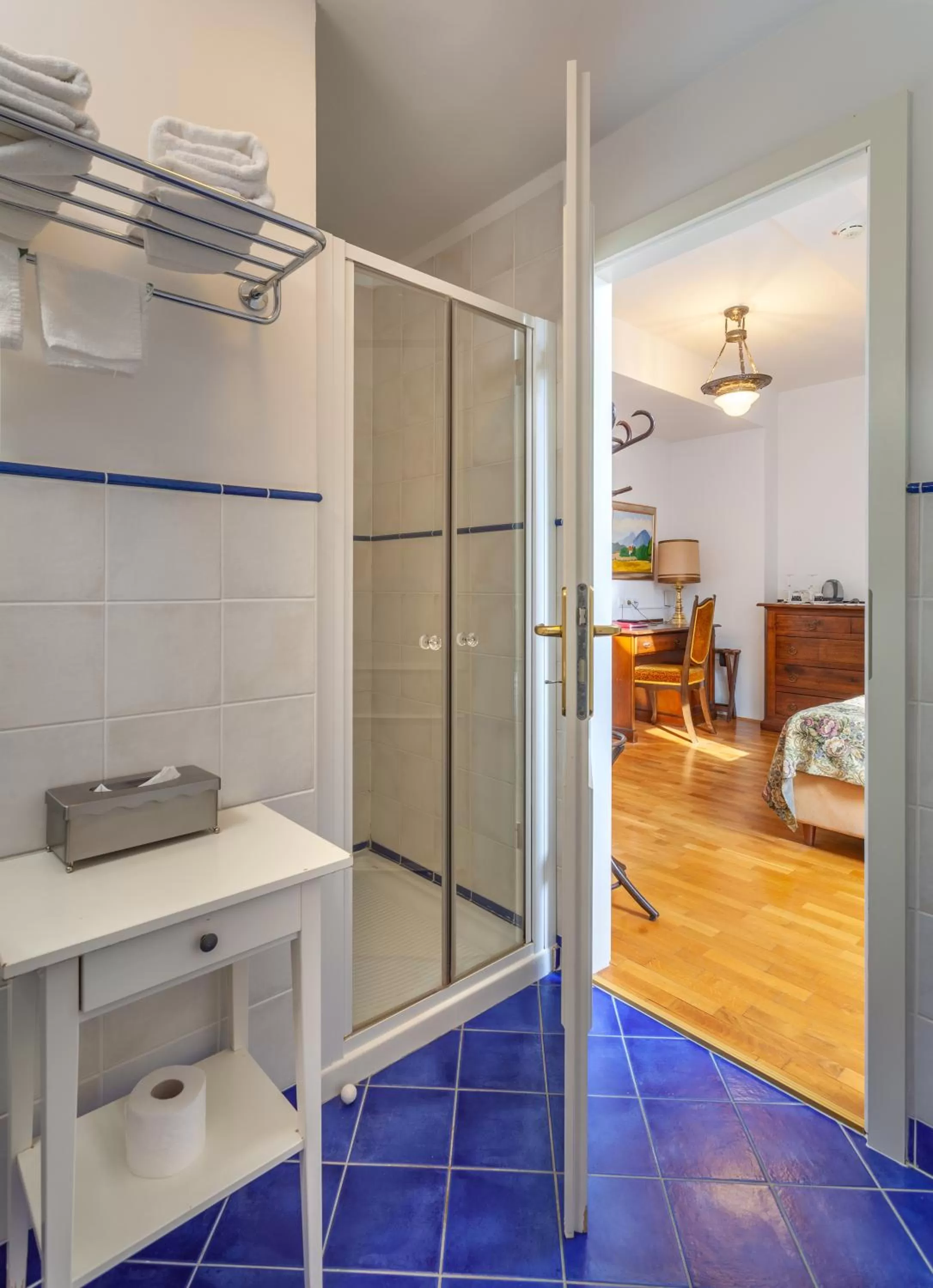 Shower in Hotel Triglav