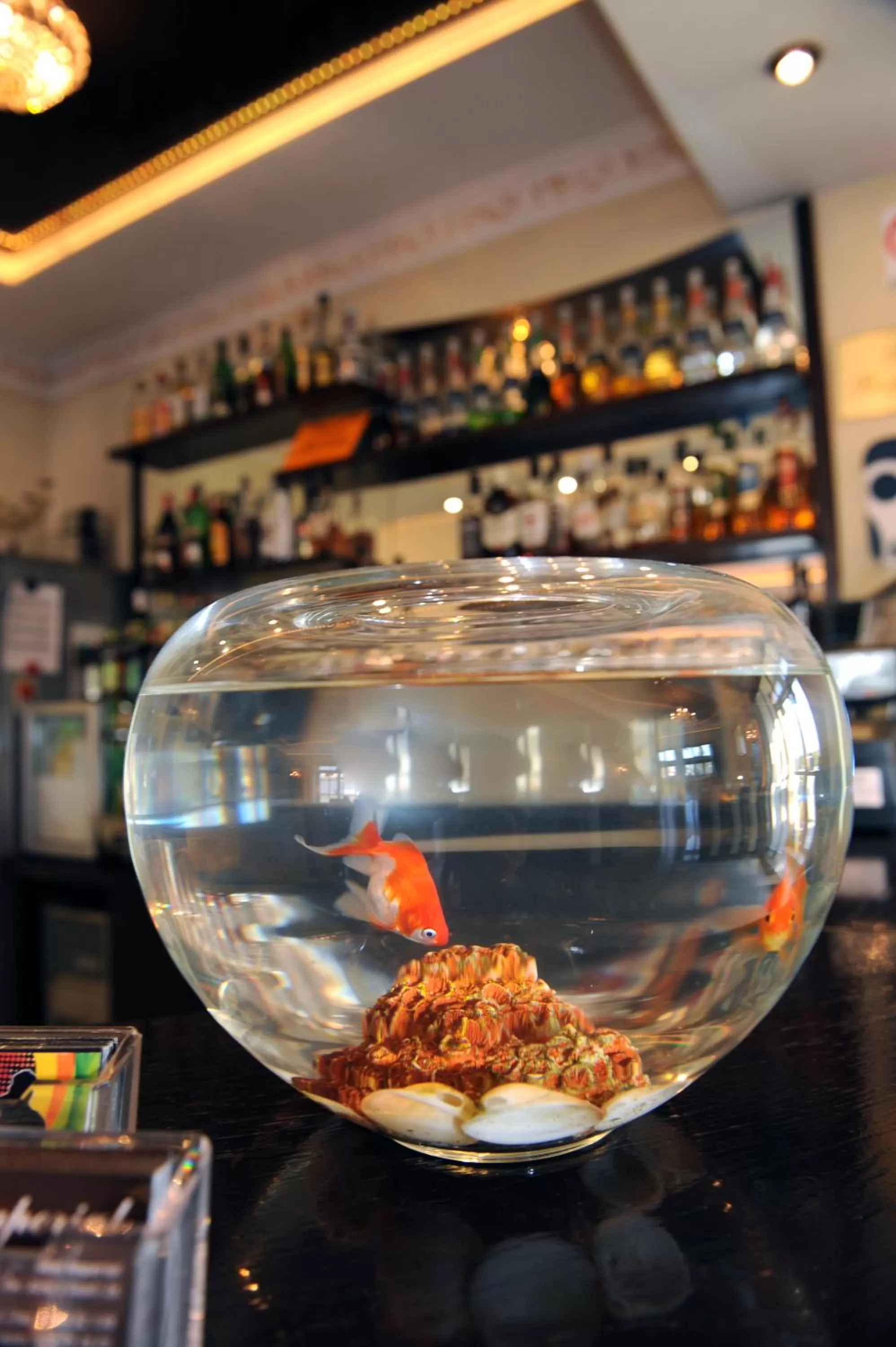 Decorative detail in Hotel Imperial