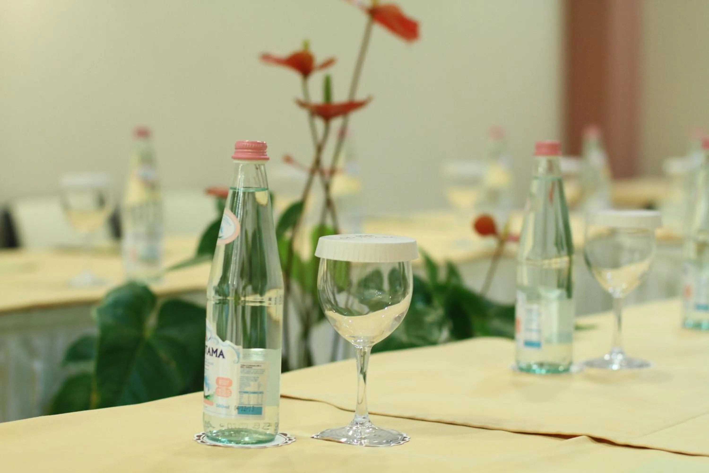 Business facilities in MonarC Hotel