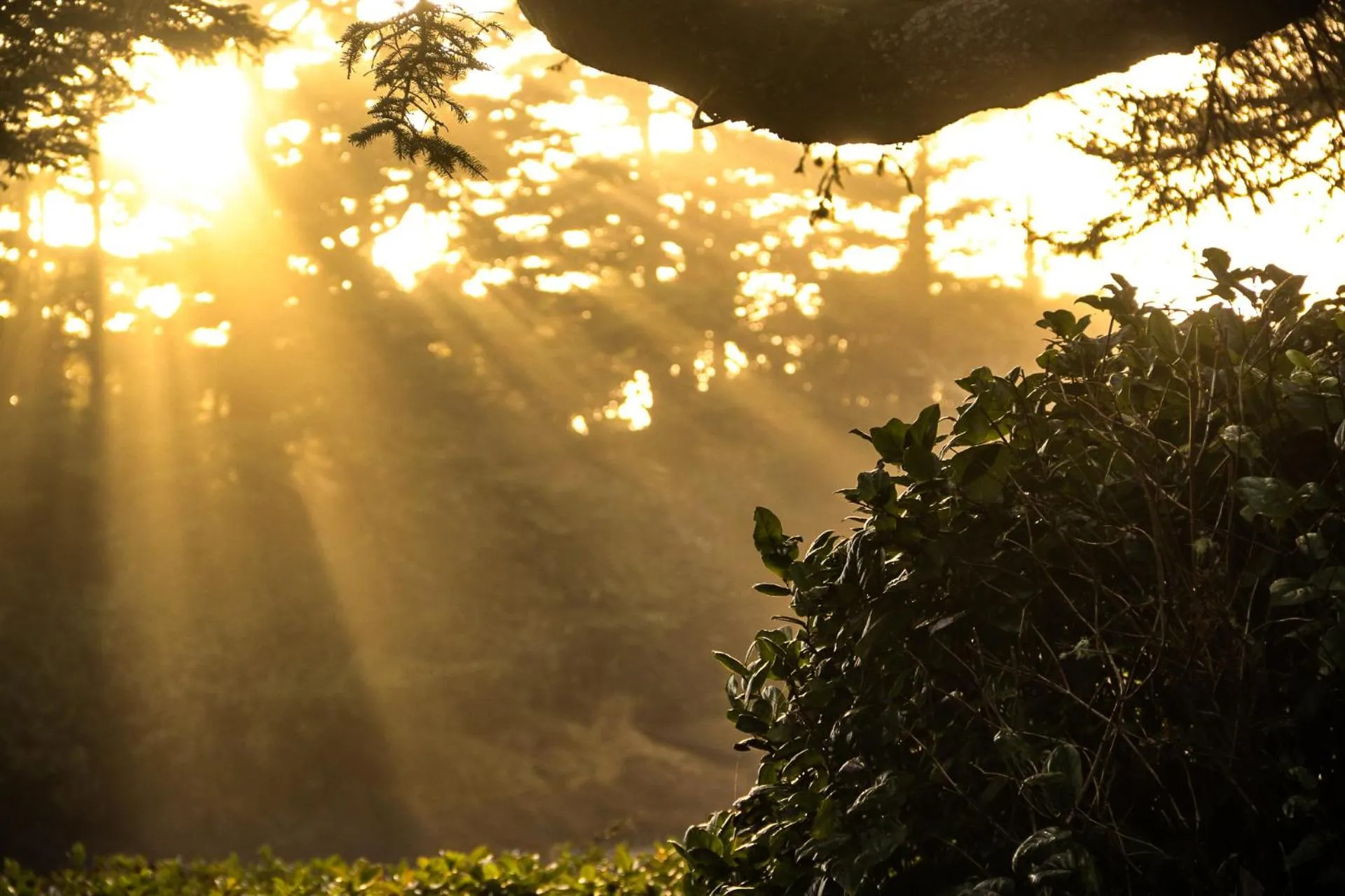 Neighbourhood in Pluvio restaurant and rooms