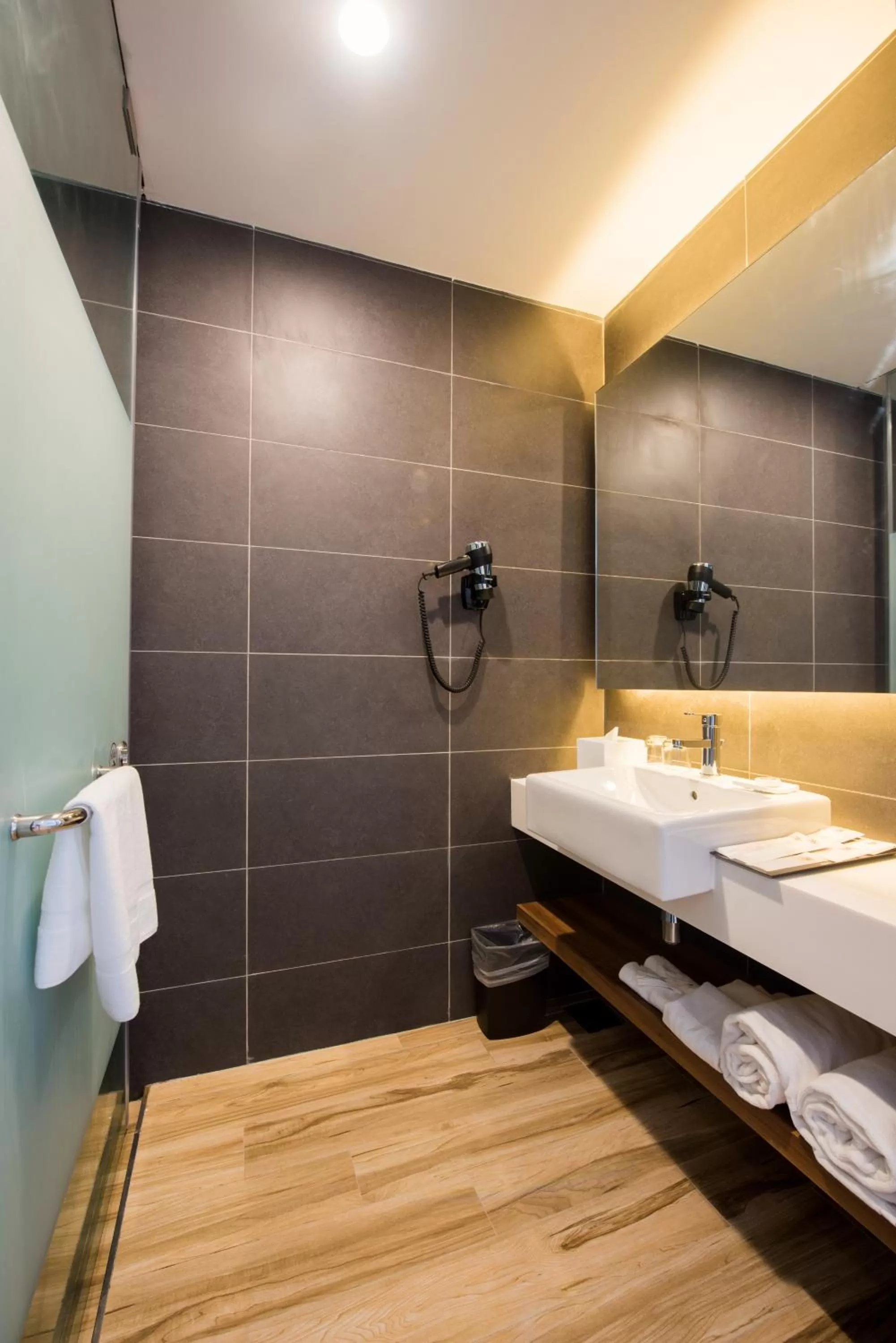 Toilet in The Smith House