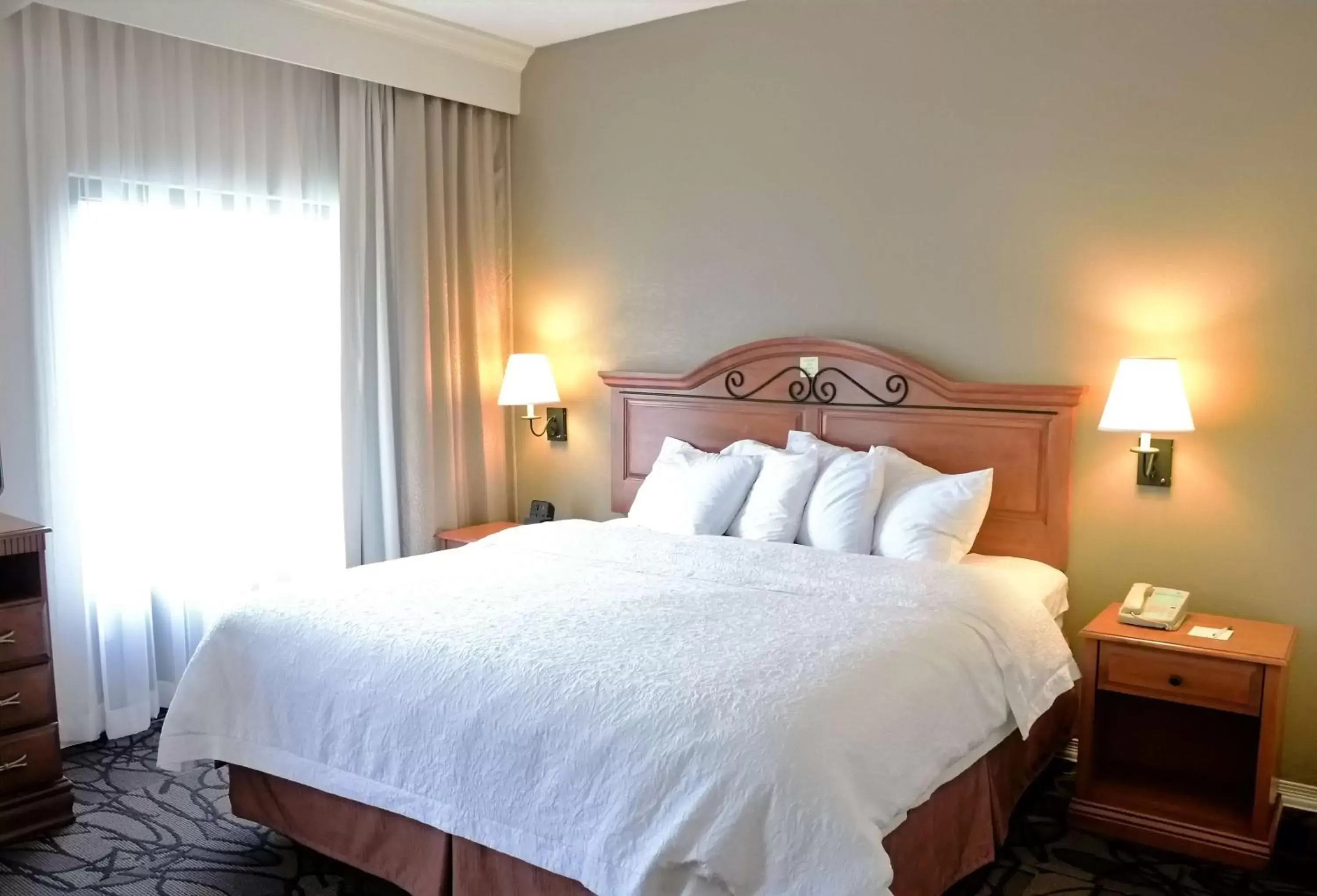 King Suite in Hampton Inn & Suites Birmingham-Pelham - I-65 King Suite in Hampton Inn & Suites Birmingham-Pelham - I-65