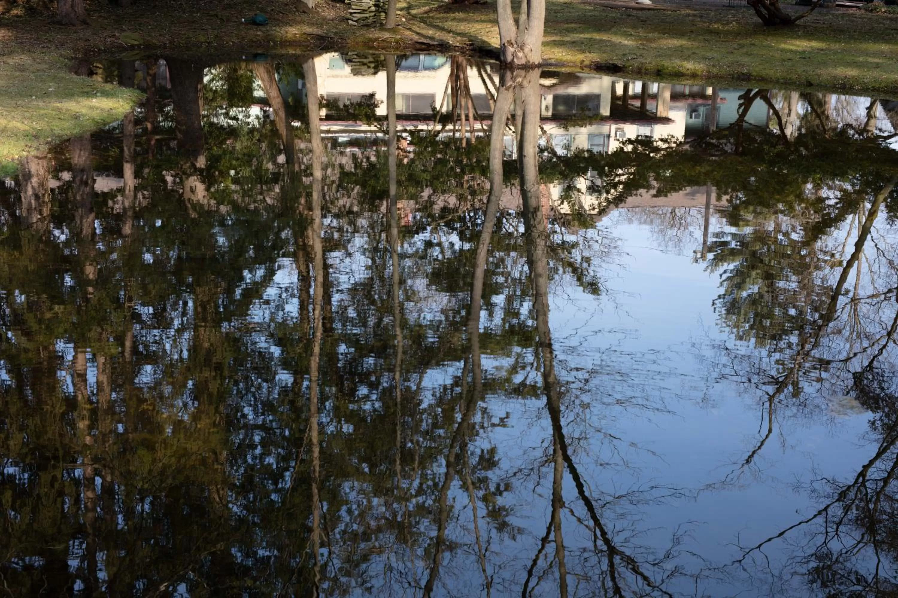 Natural landscape in Lakeside Inn