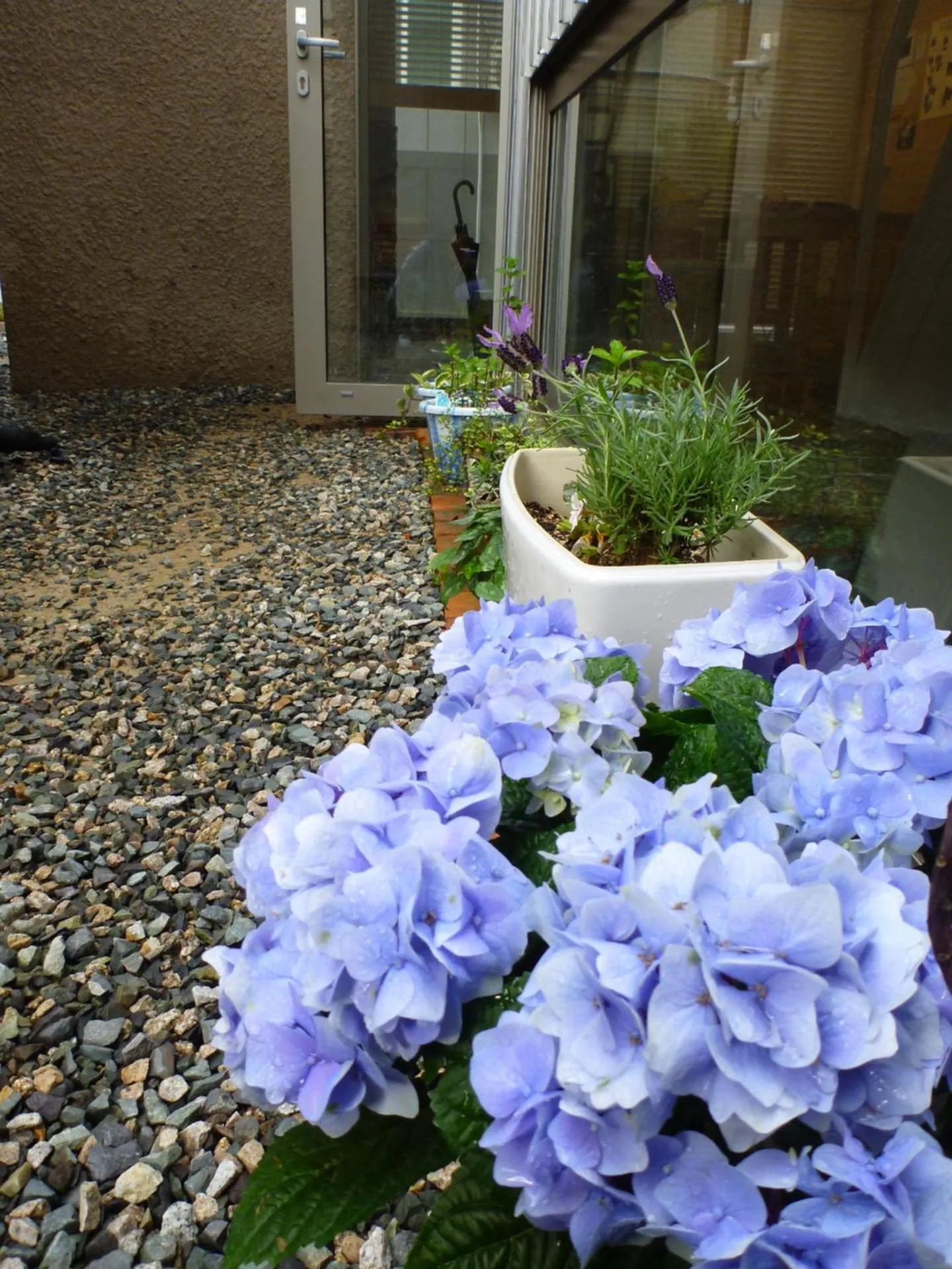 Garden in Inside Busan Hostel