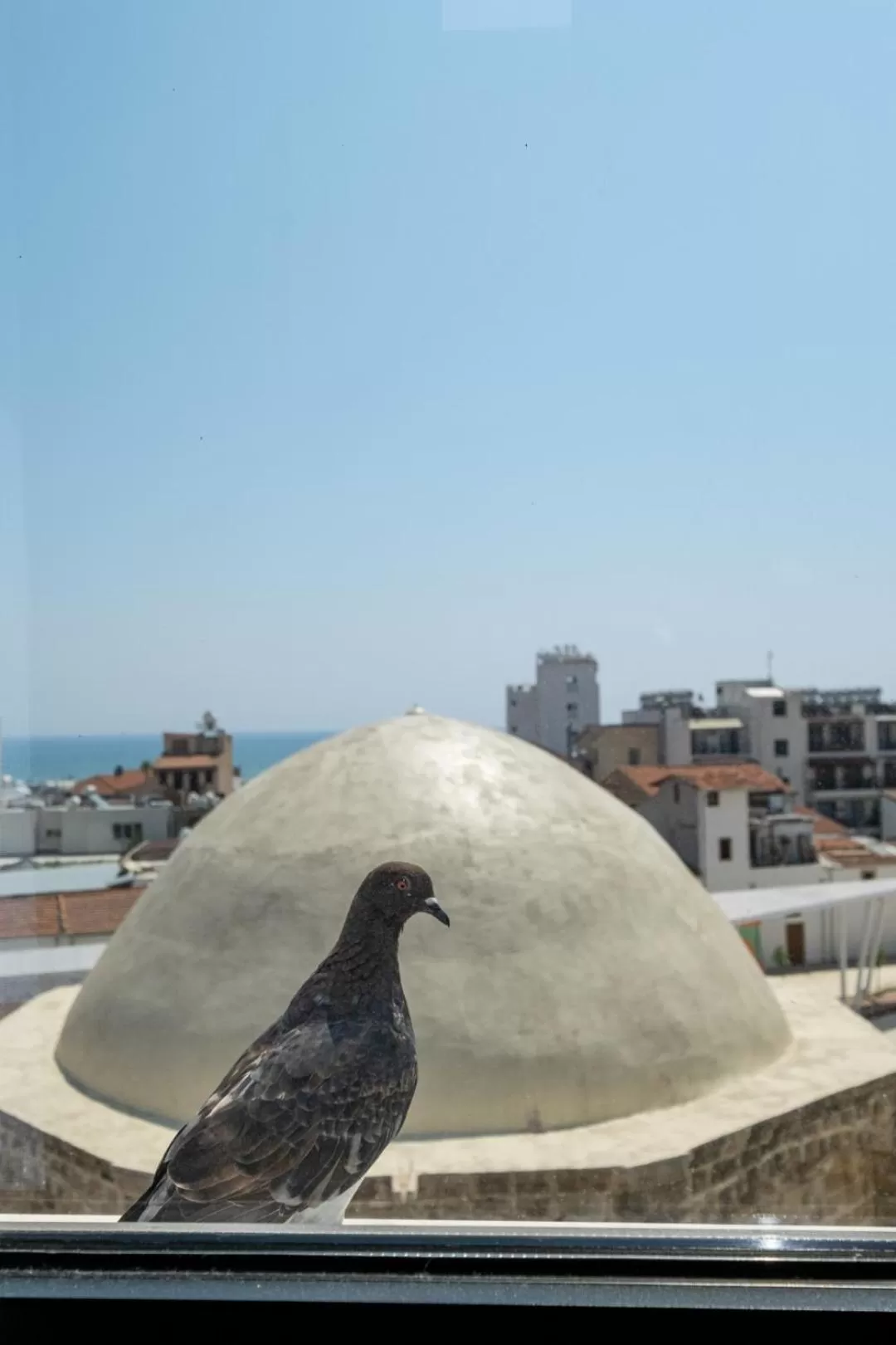 Livadhiotis City Hotel