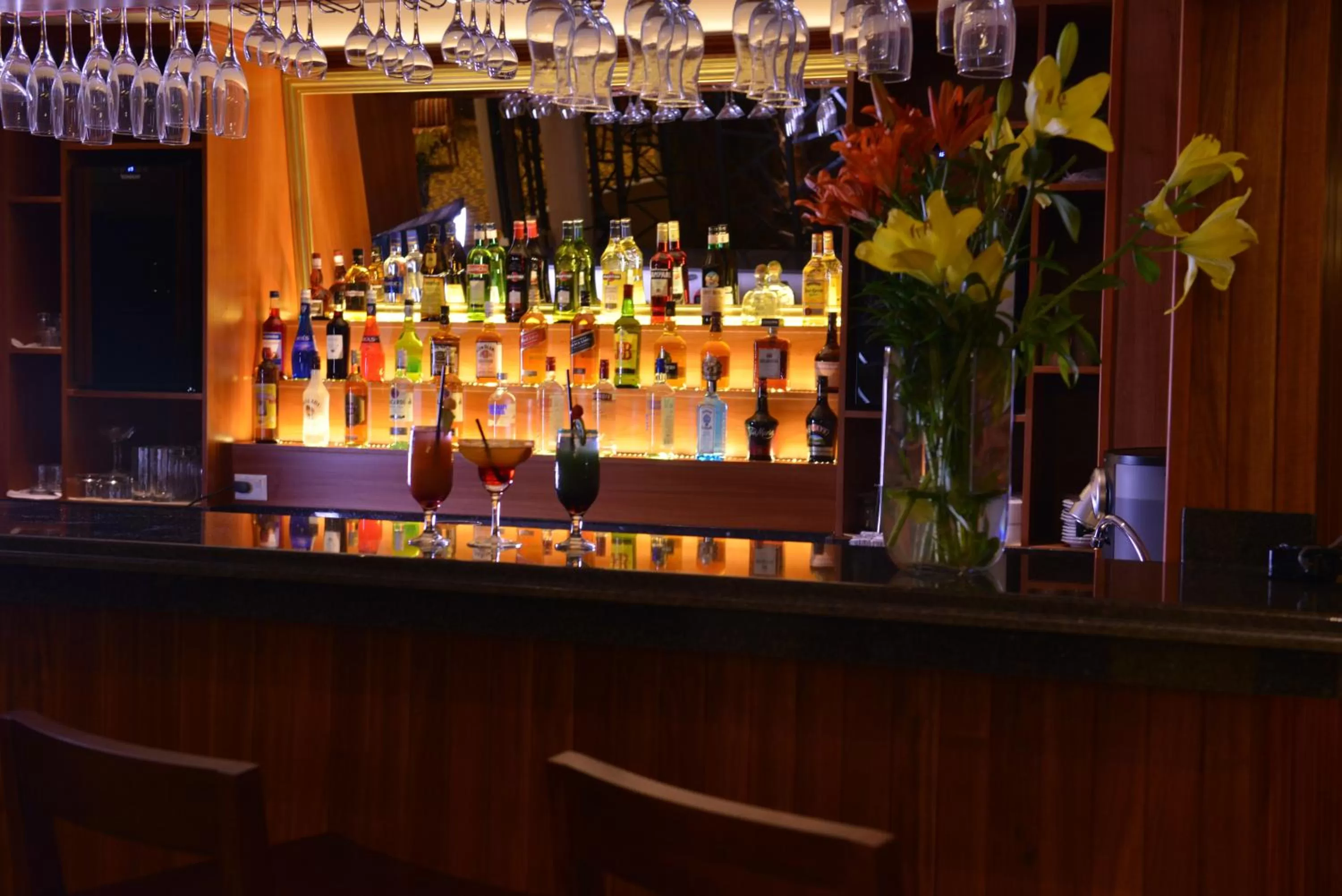 Lounge or bar in Falls Iguazú Hotel & Spa