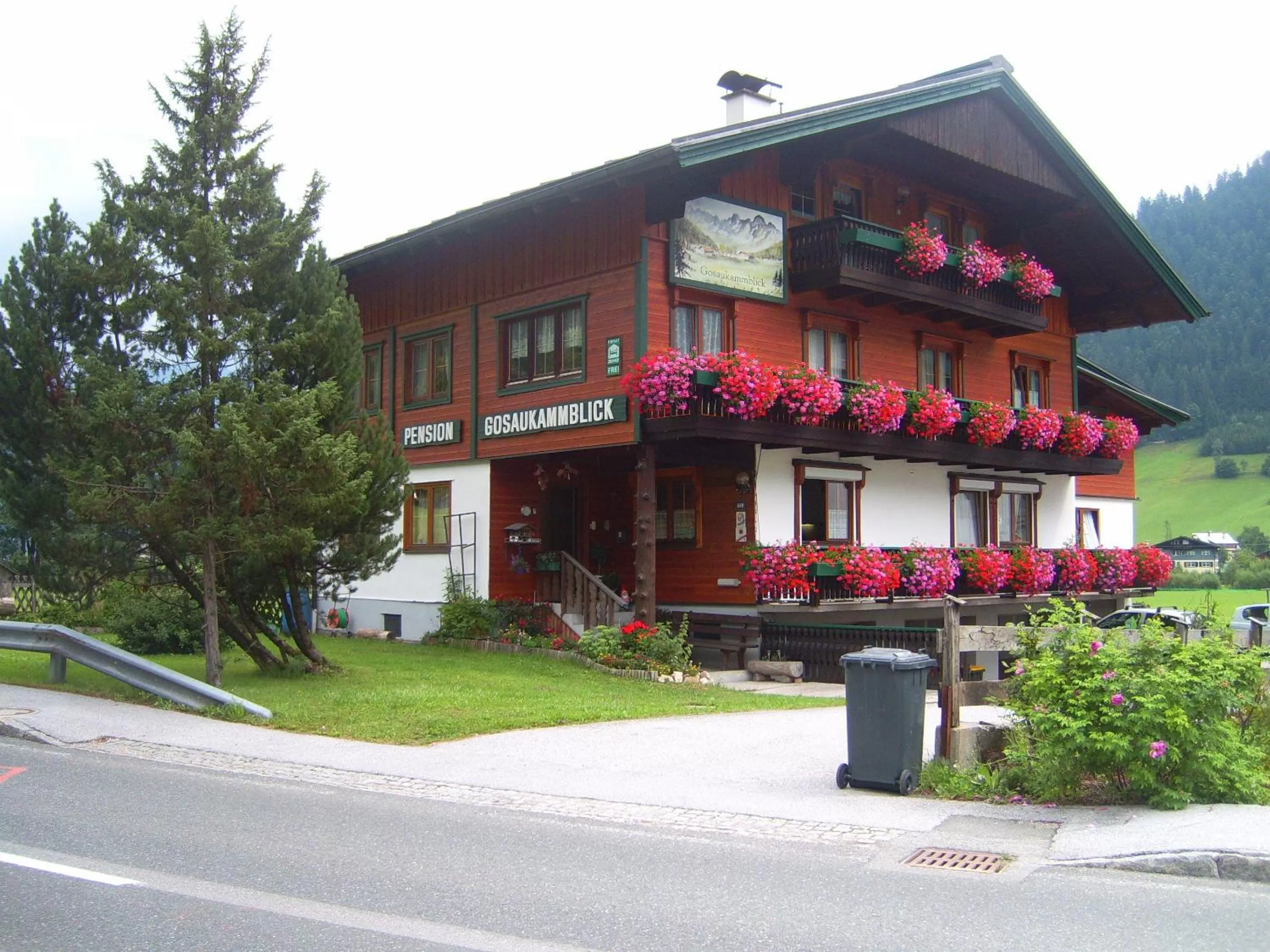 Facade/entrance, Property Building in Privatpension Gosaukammblick
