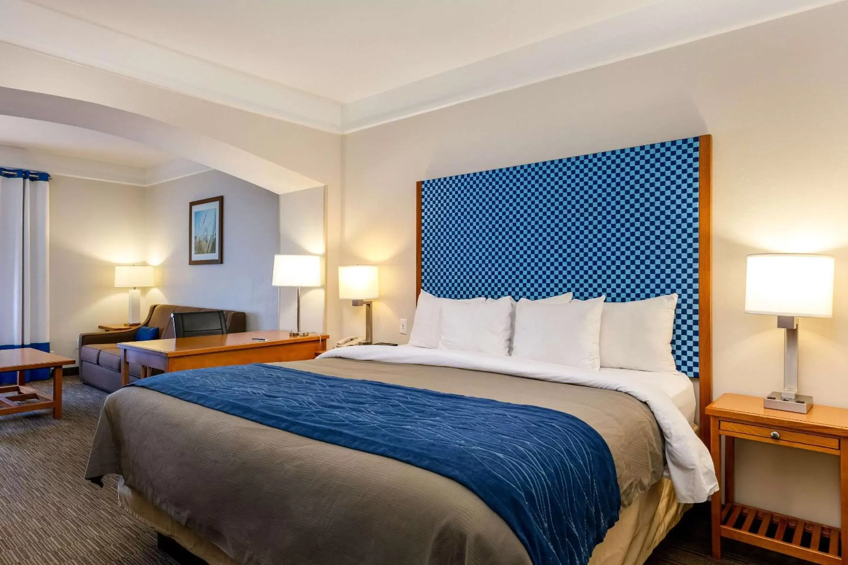 Executive King Suite - Non-Smoking in Comfort Inn & Suites Savannah Airport Executive King Suite - Non-Smoking in Comfort Inn & Suites Savannah Airport