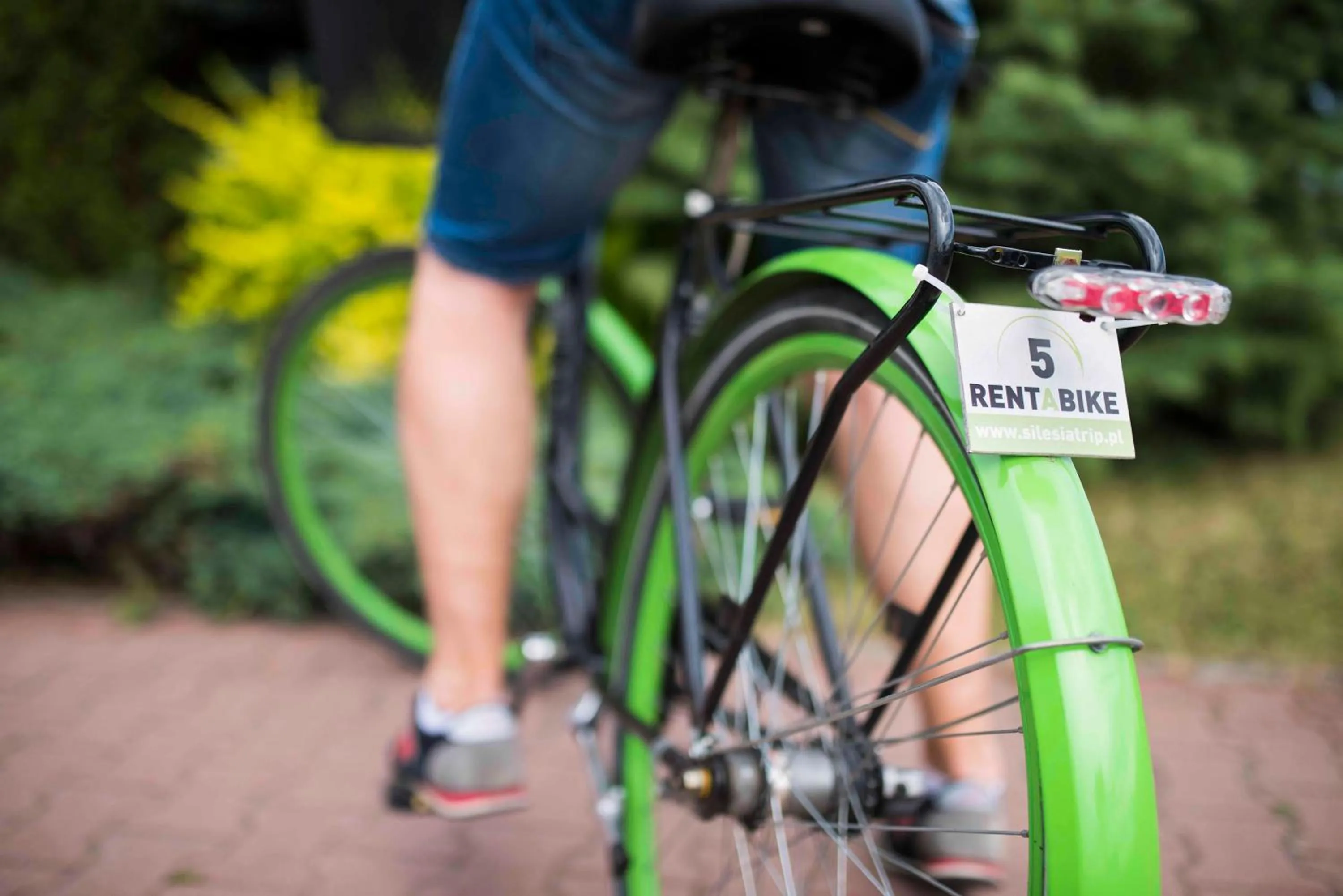 Activities in Campanile Katowice