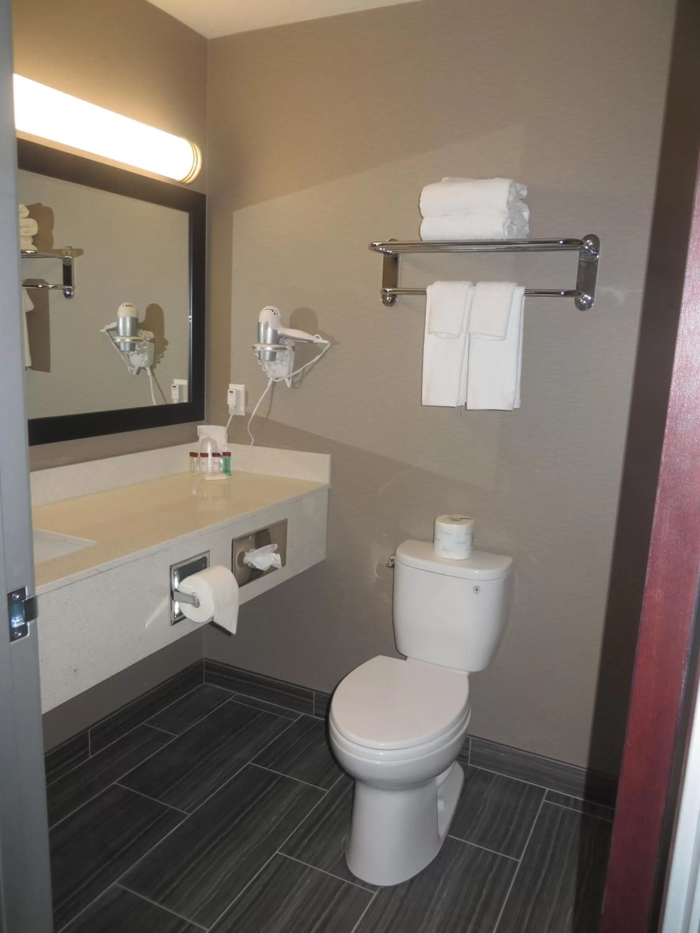 Bathroom in Ramada by Wyndham Moose Jaw