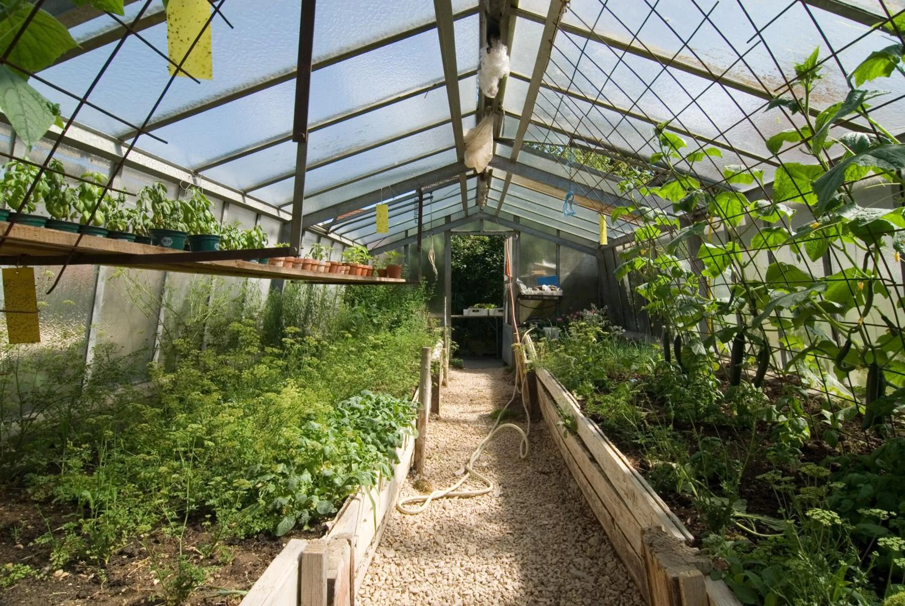 Restaurant/places to eat in Biohotel-Restaurant Rose