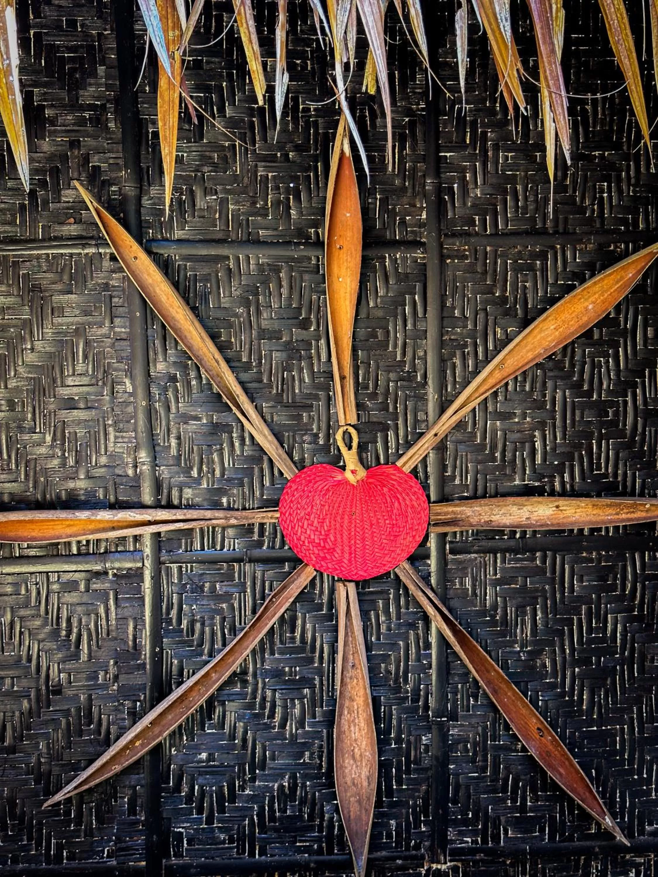 Garden in Alona Pawikan