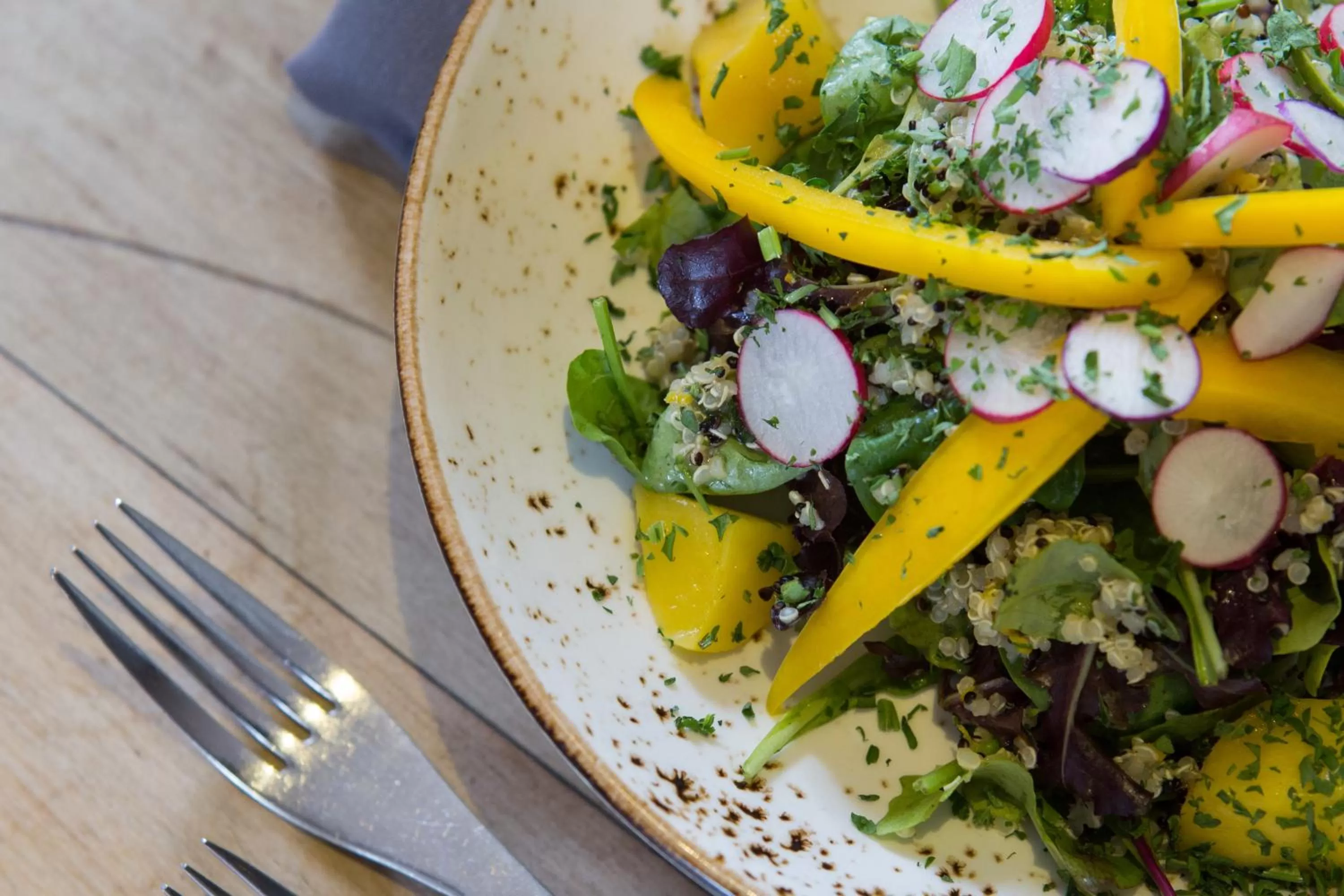 Food close-up in Mount Edgcumbe