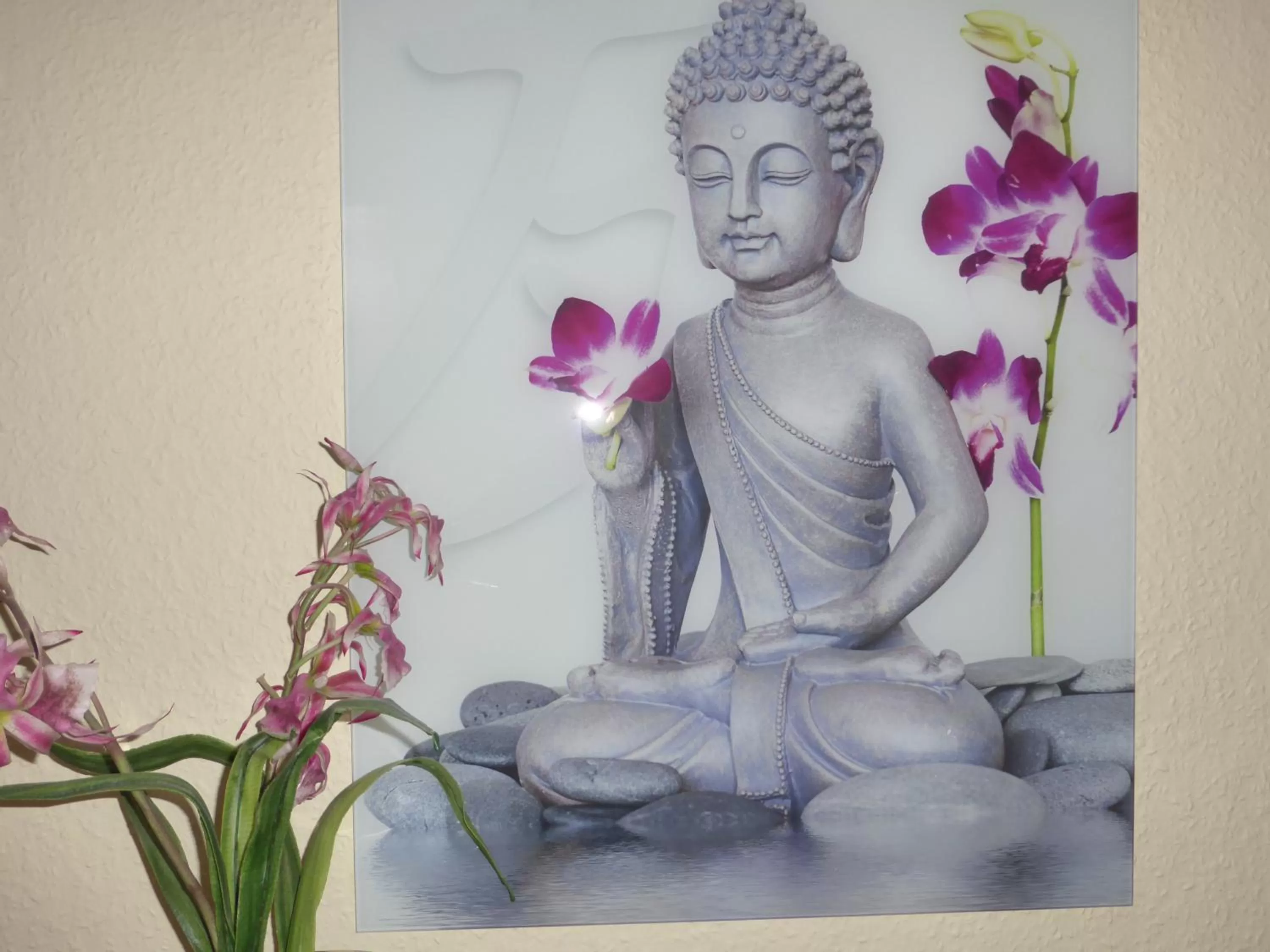 Hotel Villa Vital Munster