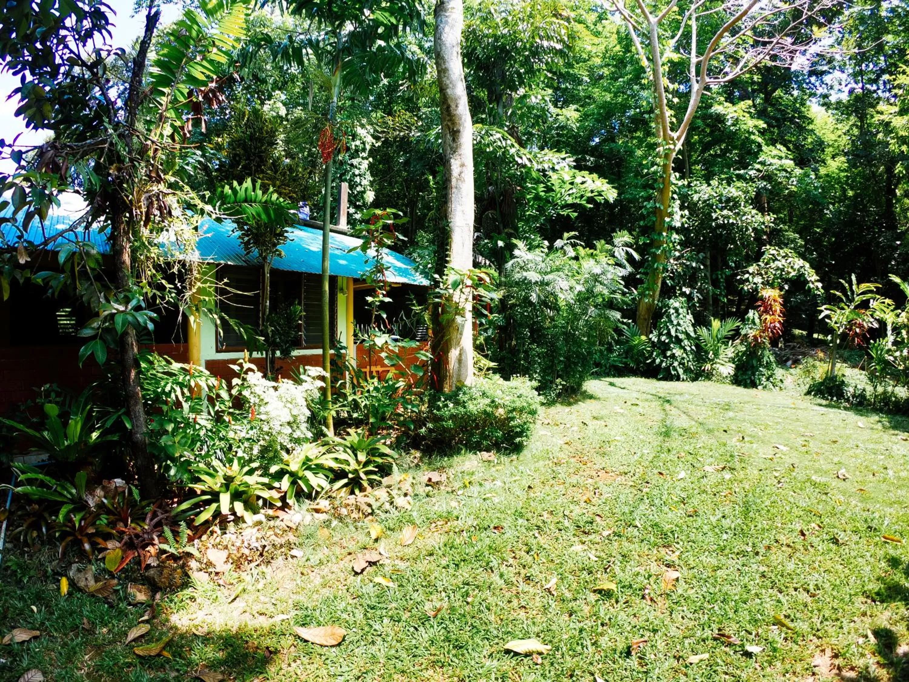 Garden in Rock Inn Bailan