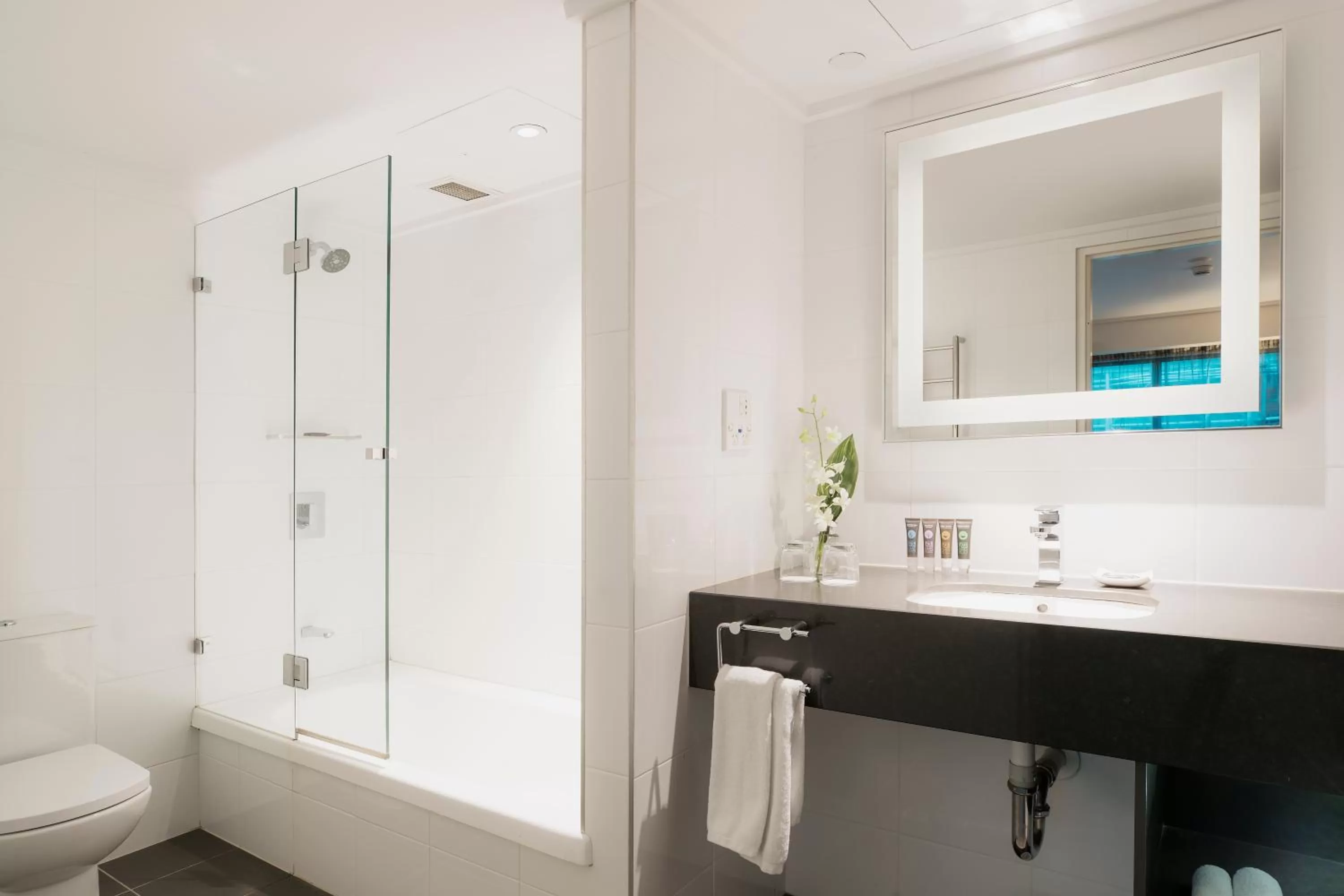 Family in Novotel Melbourne On Collins