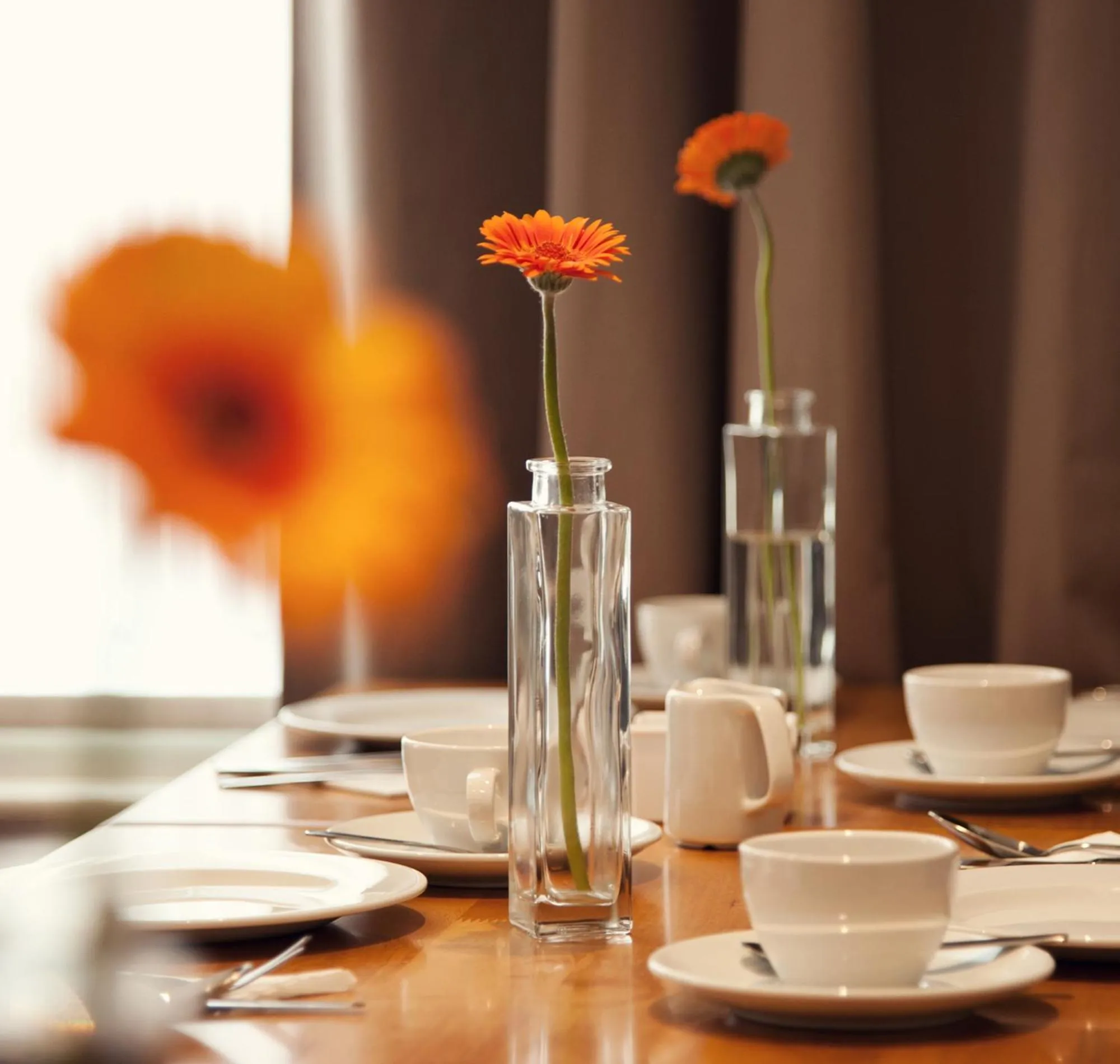 Restaurant/places to eat in The Burlington Hotel