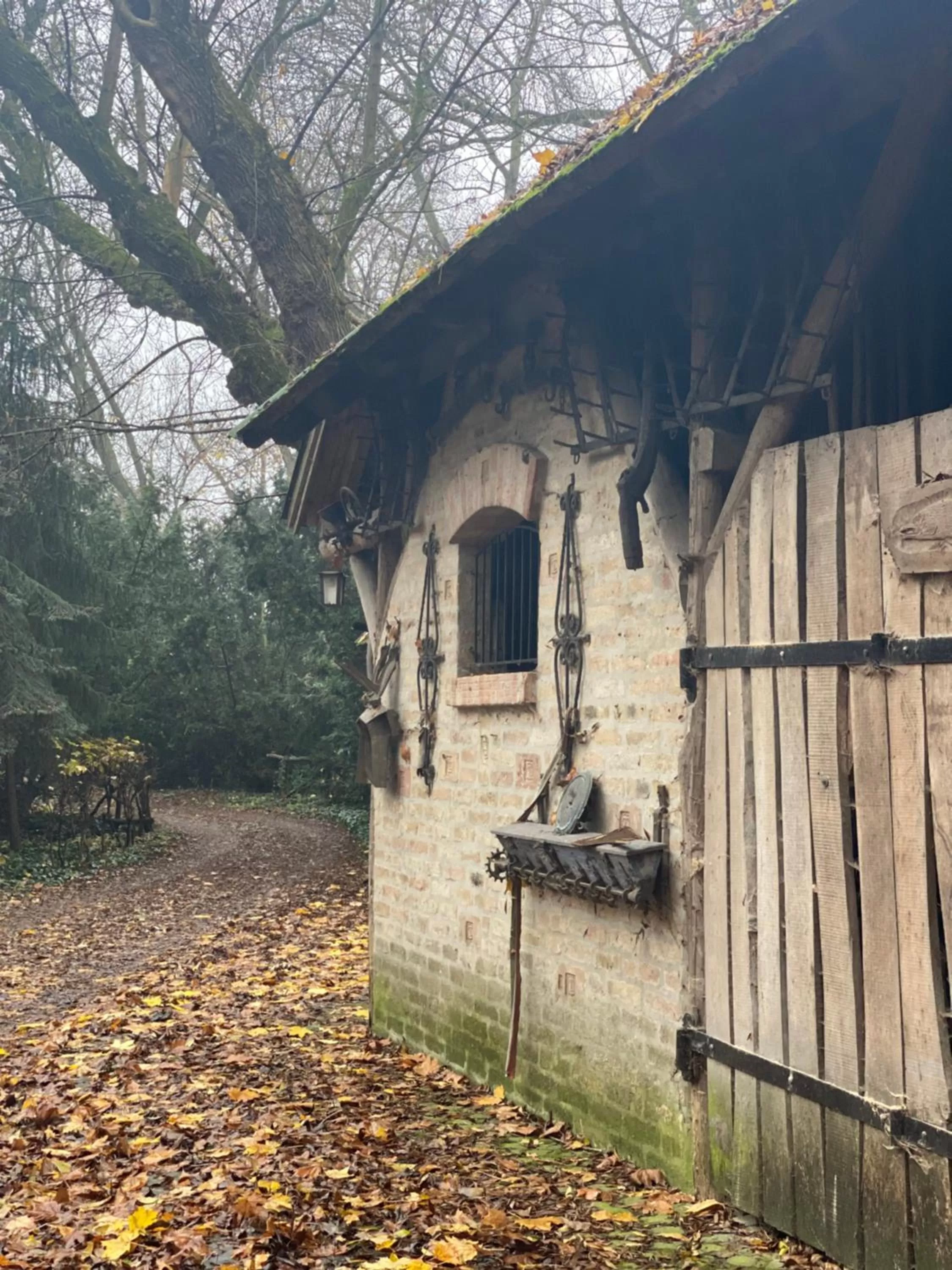Garden, Property Building in A Fogadó