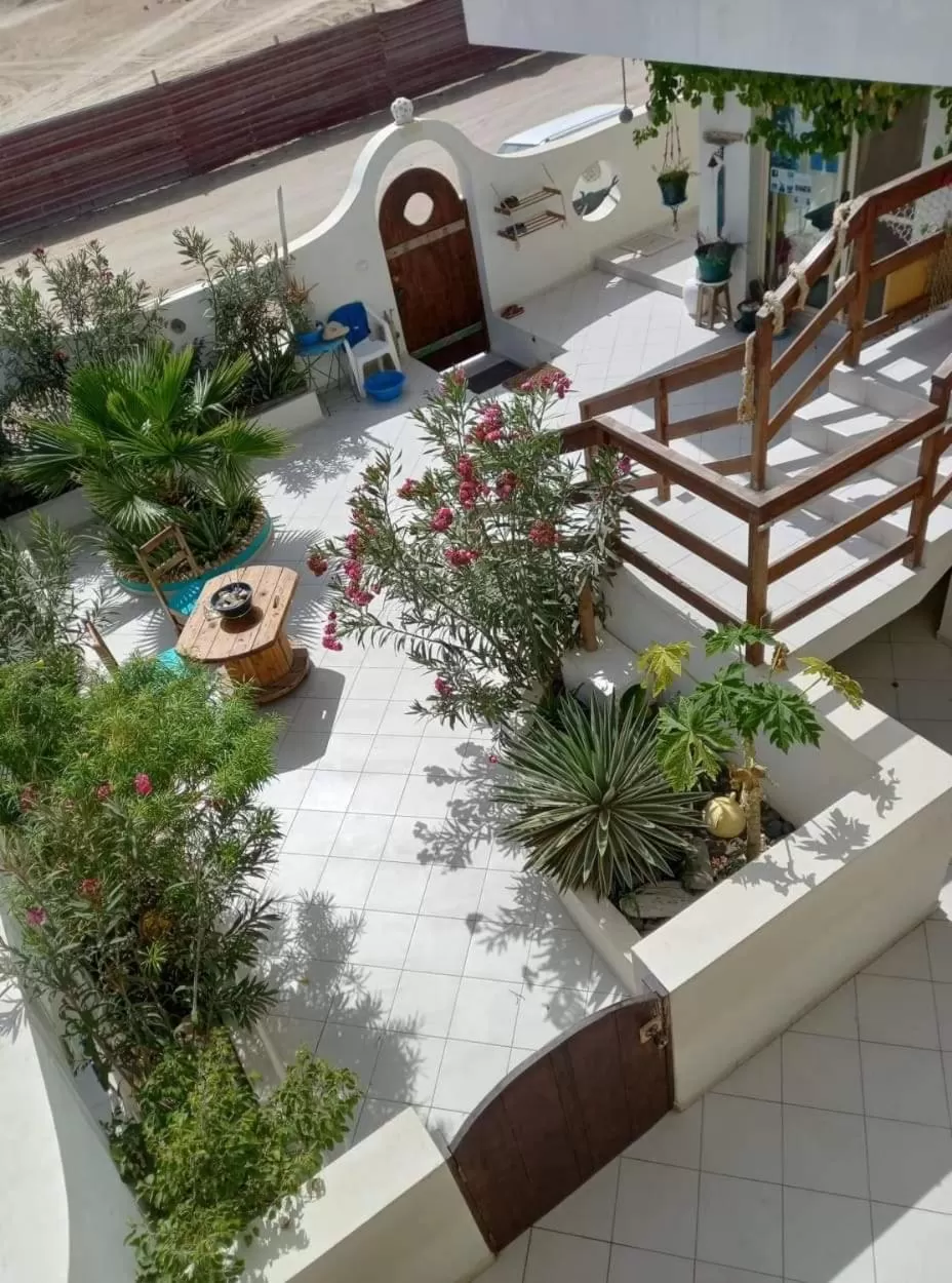 Garden in B&B Sereia Azul Boa Vista