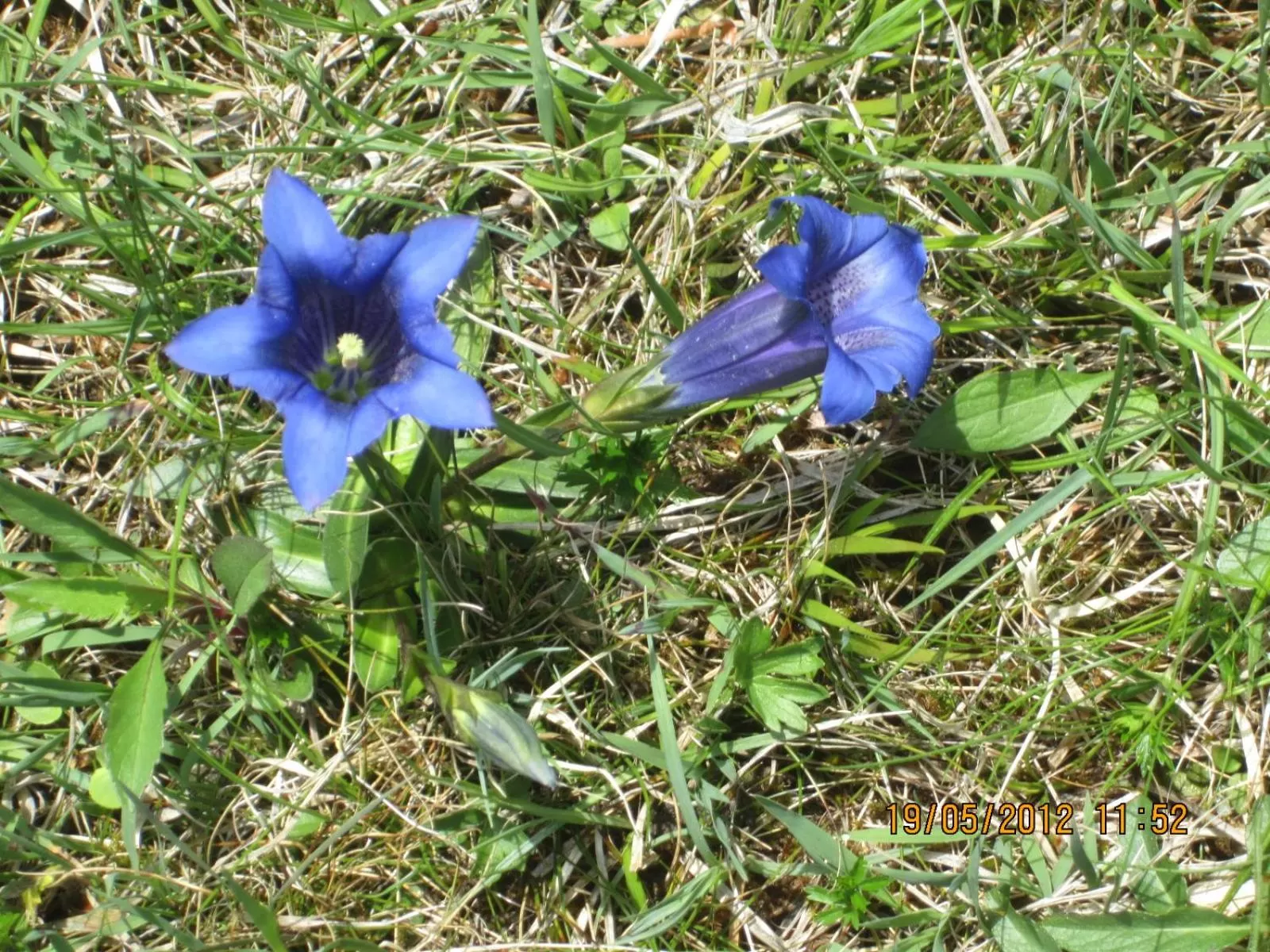 Hiking in Apparthotel Tom Sojer