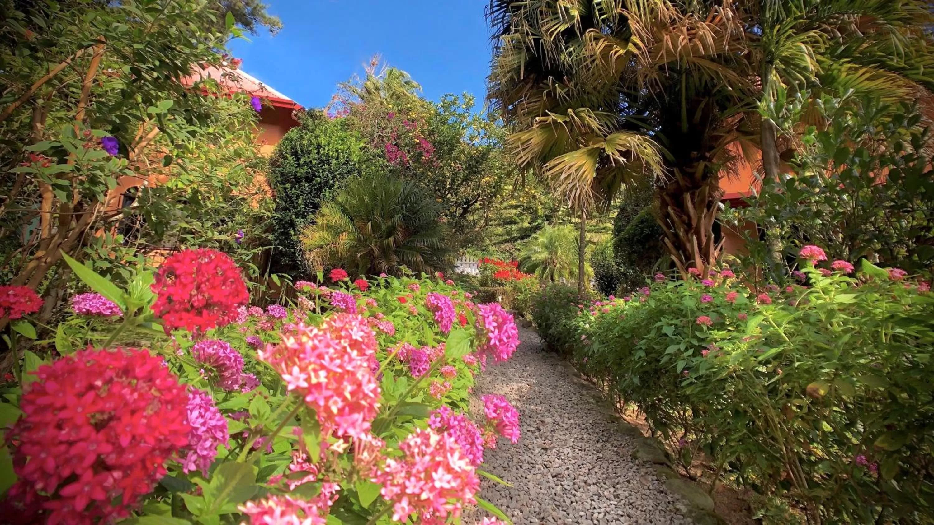 Day, Garden in Boquete Garden Inn