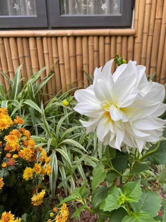 Trang An Moon Garden Homestay