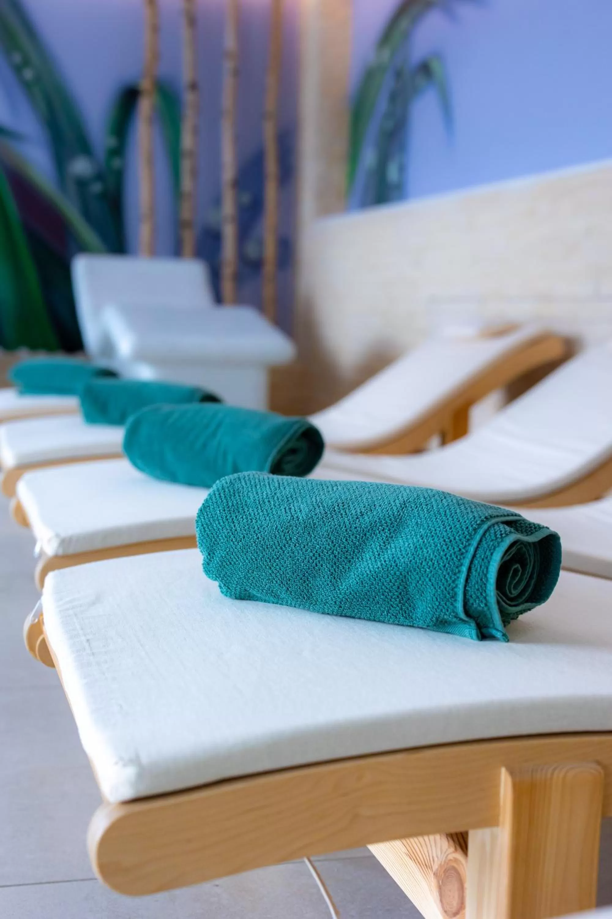 Spa and wellness centre/facilities in Hotel Belmont & Spa