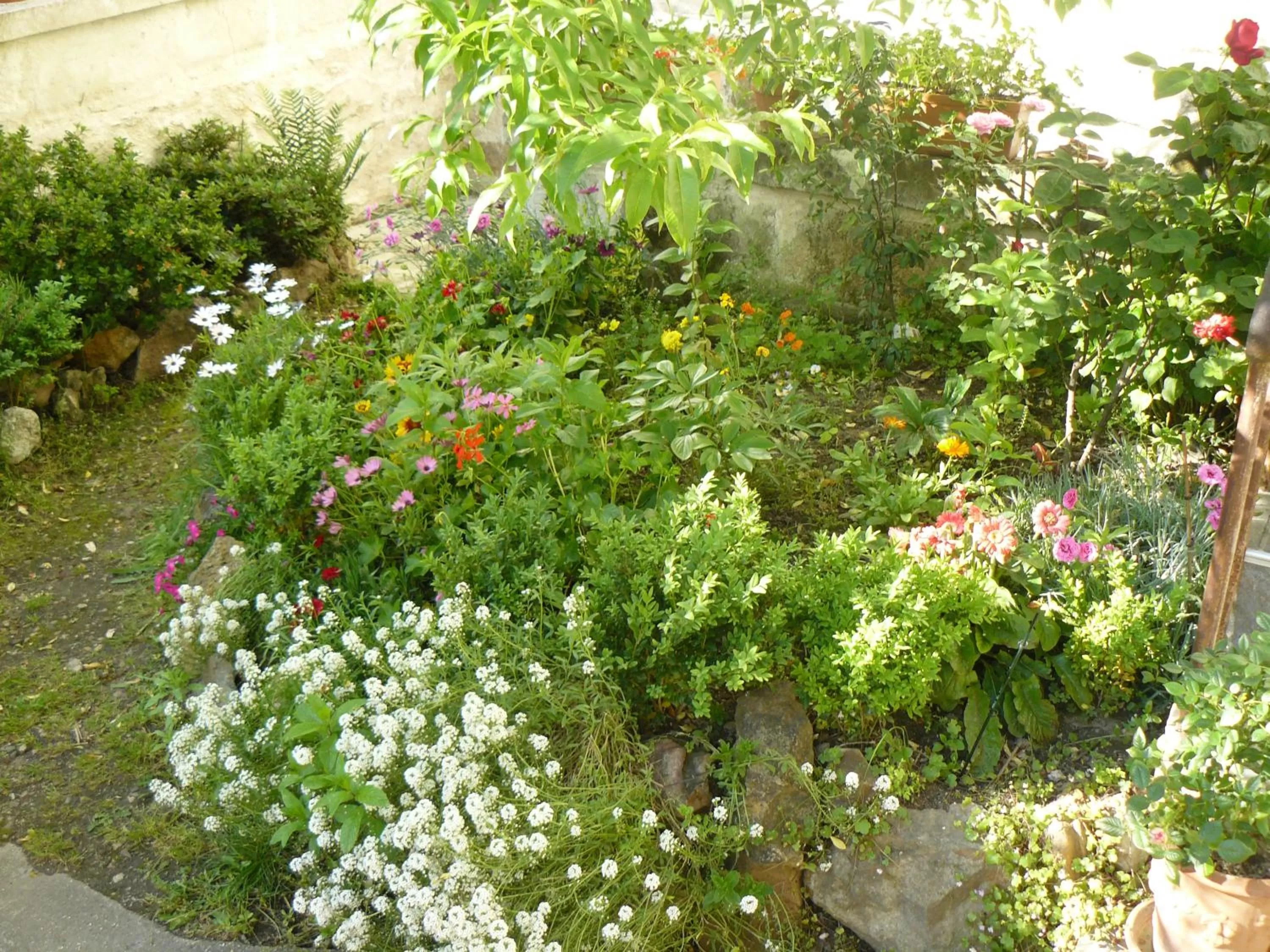 Garden view in La Maison de Saumur
