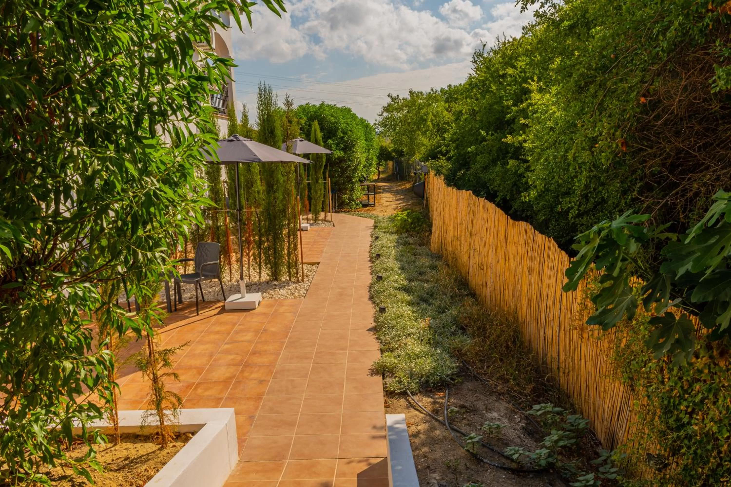 Balcony/Terrace in B&B Casa de Ámbar
