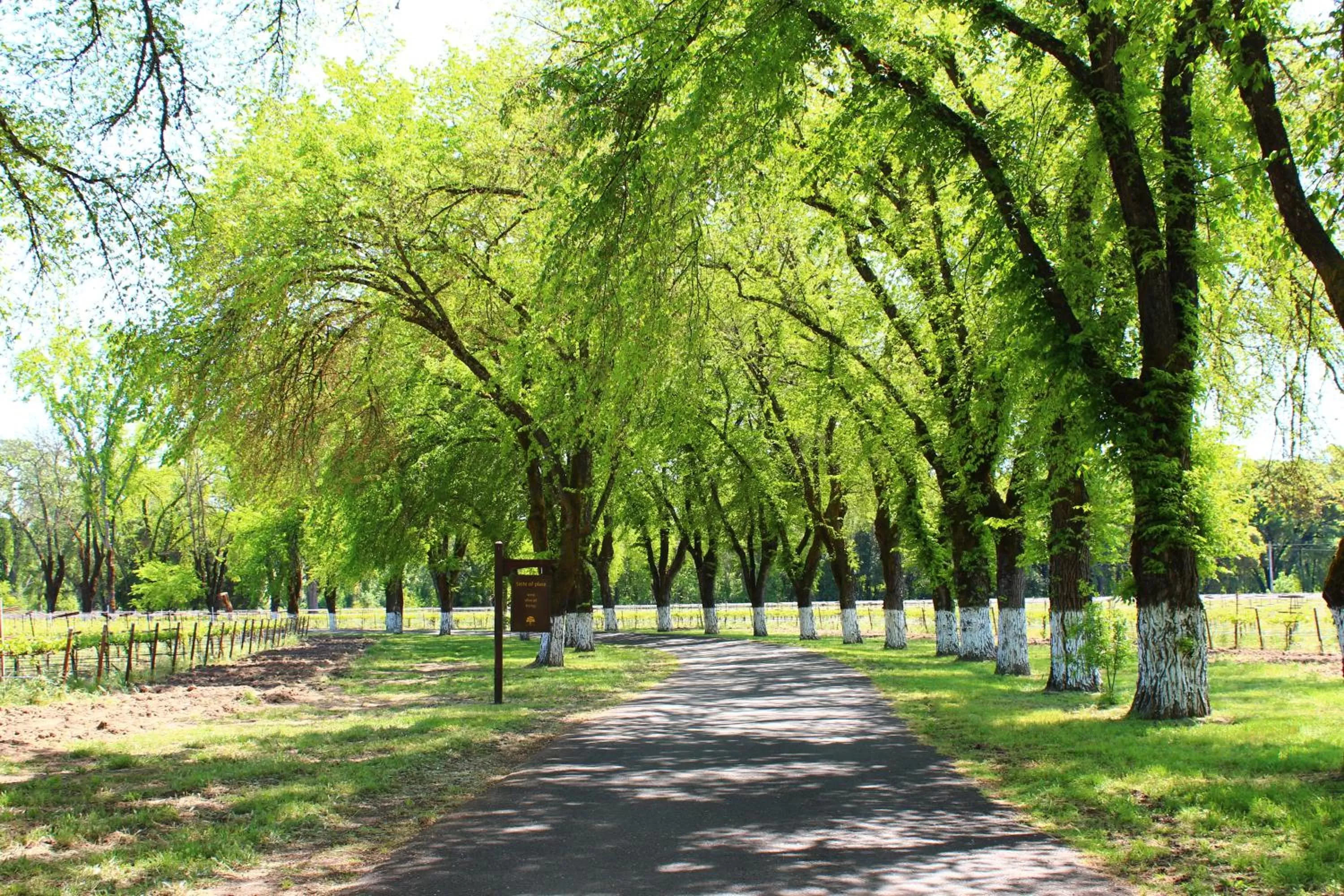 Day in The Orchard Hotel Ukiah Wine Country Free Breakfast, Pool, & Hot Tub