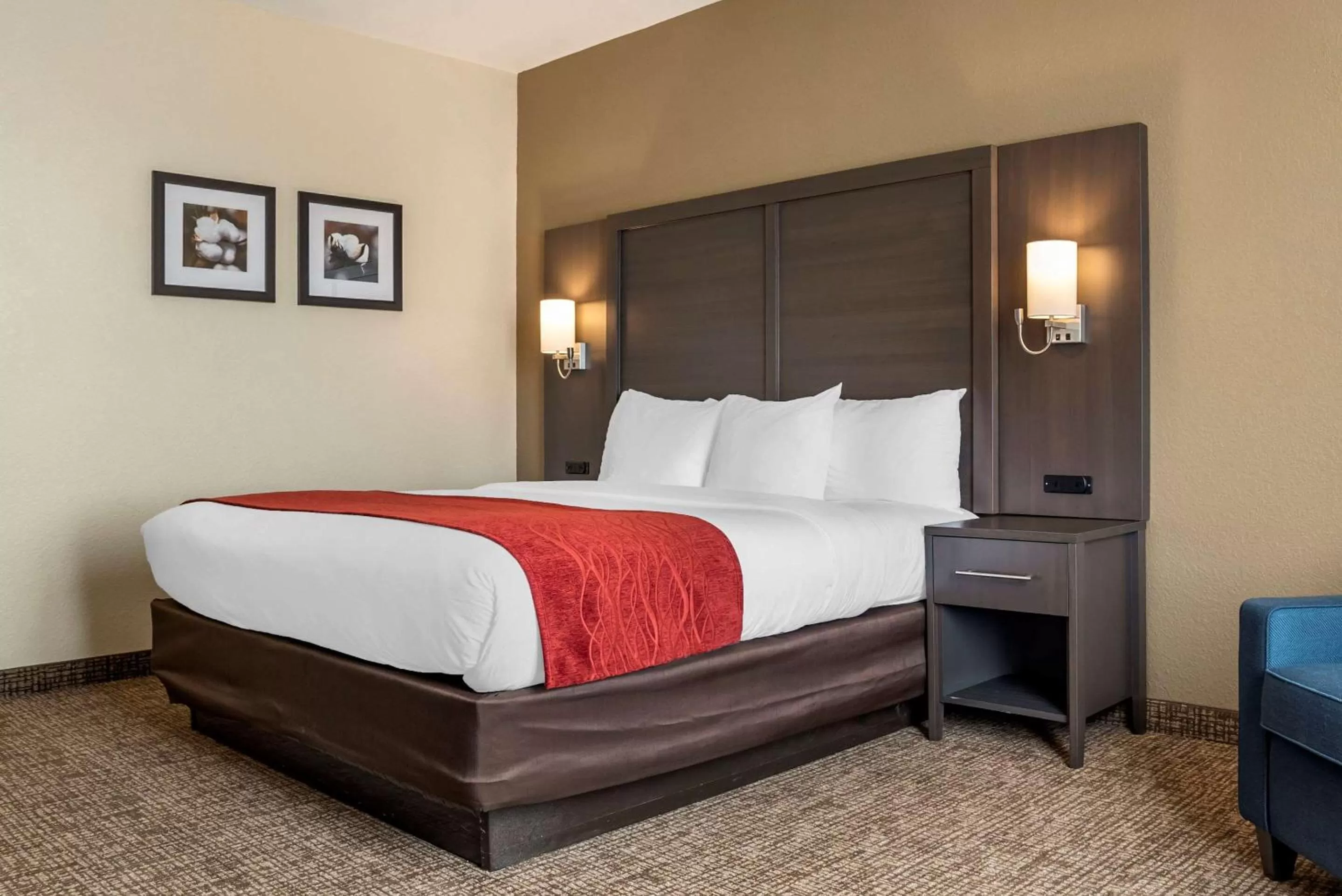 Photo of the whole room, Bed in Comfort Inn & Suites Millbrook-Prattville